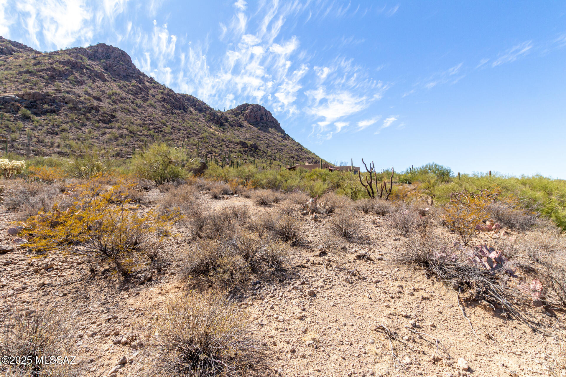 Mesquite Hills (1-21) - Land