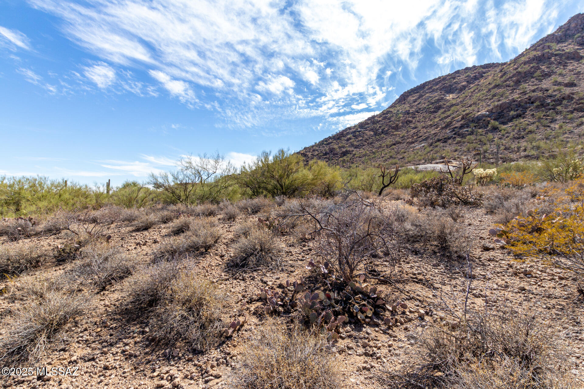 Mesquite Hills (1-21) - Land
