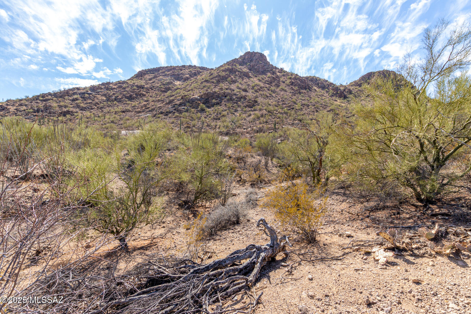 Mesquite Hills (1-21) - Land