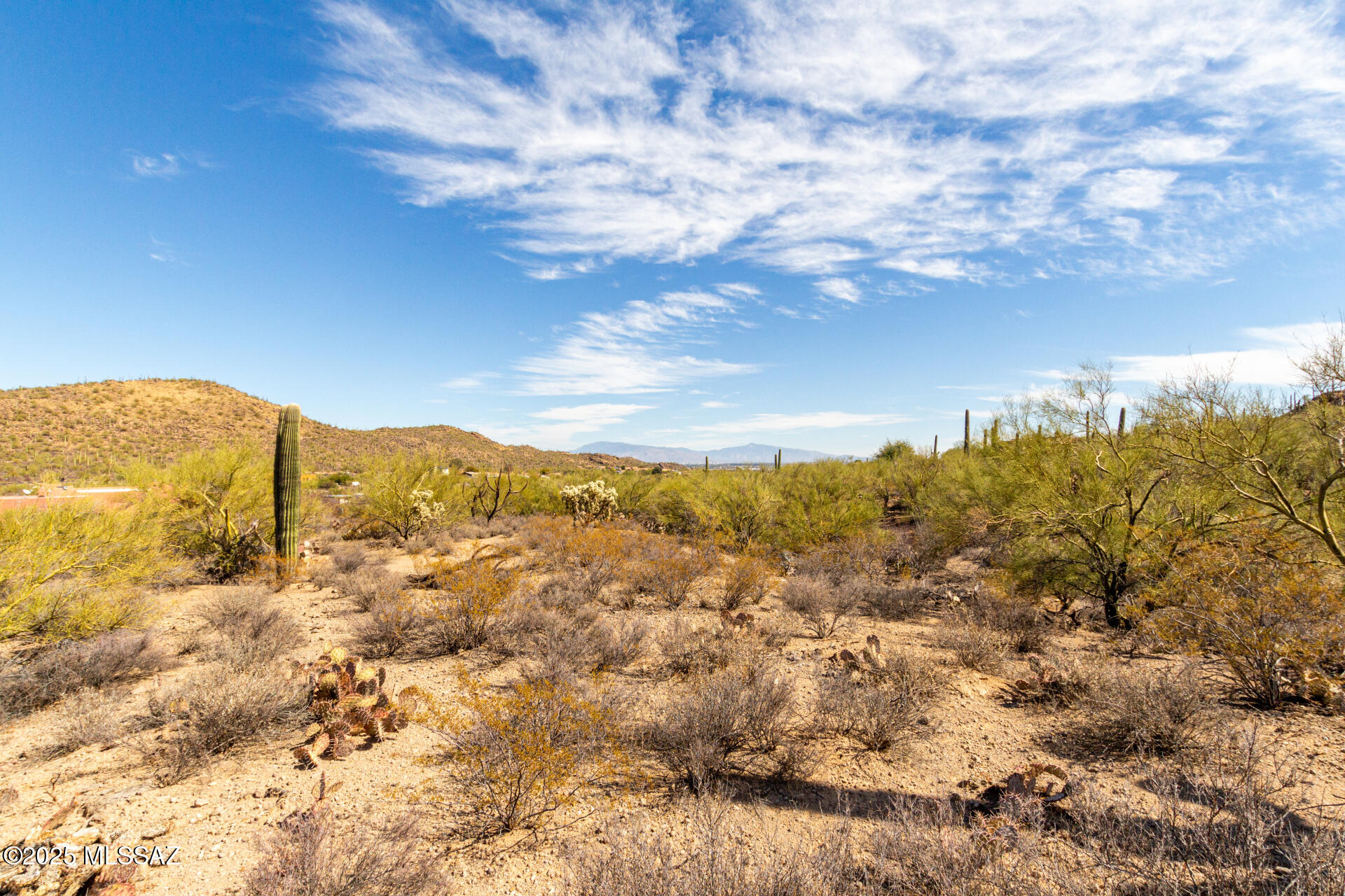 Mesquite Hills (1-21) - Land
