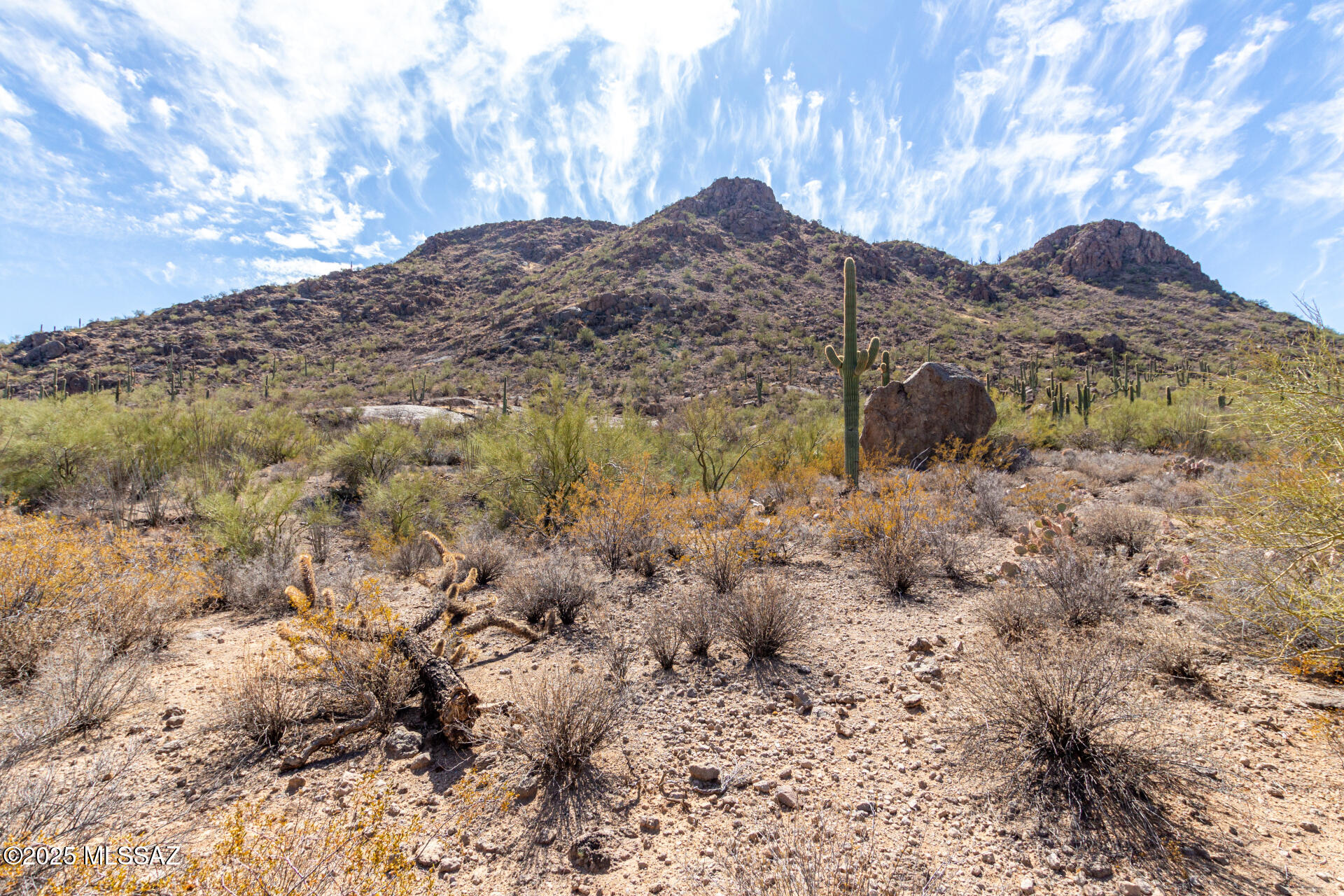 Mesquite Hills (1-21) - Land