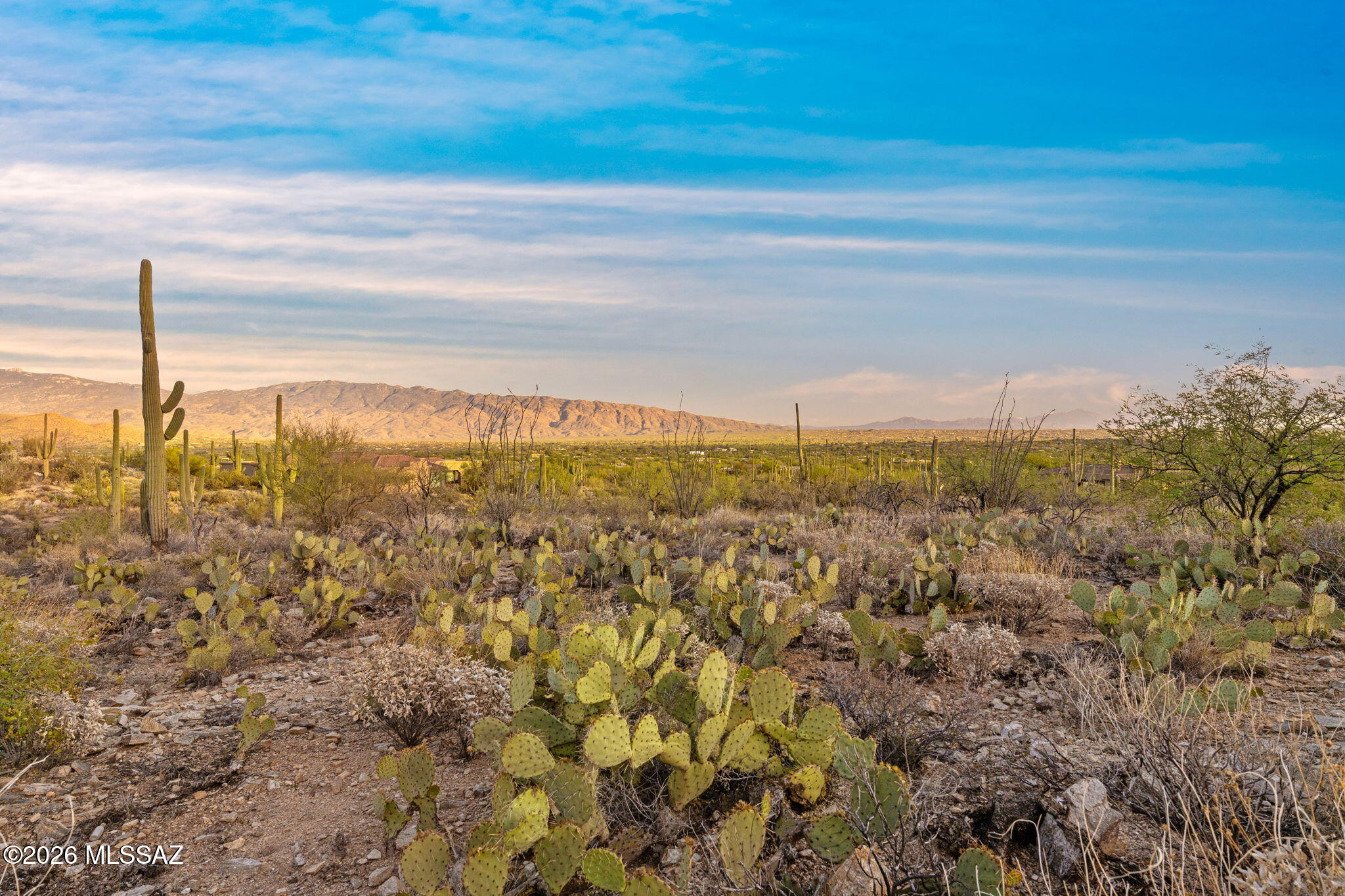 Fetzer Ranch (1-60) - Land