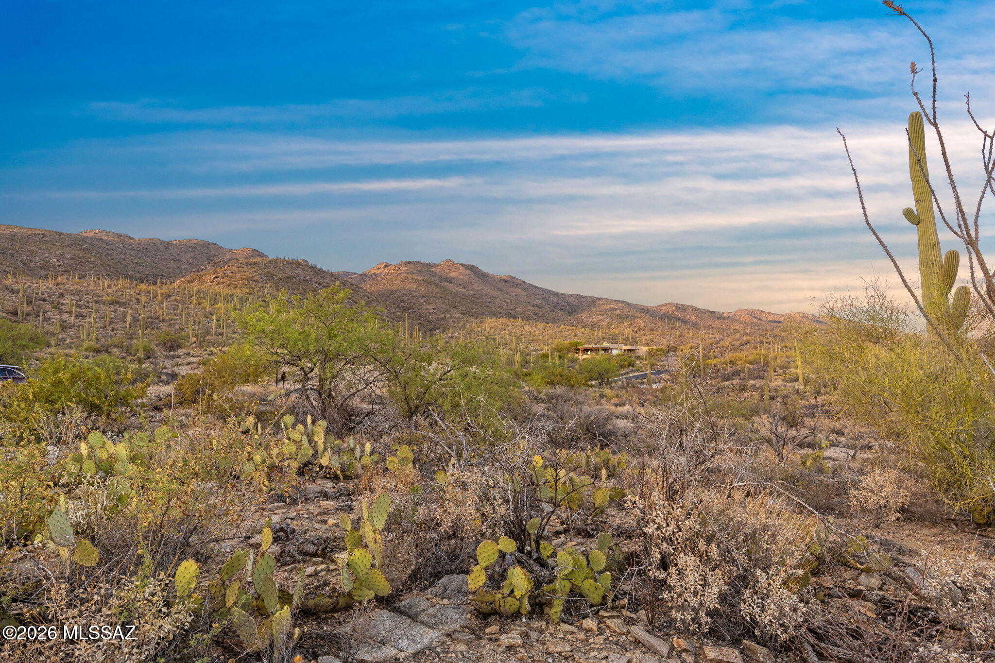 An amazing opportunity to build your custom dream home on 3.26 saguaro studded acres in one of Tucson's most desirable Northeast areas. Enjoy the privacy of gated Saguaro Hills Estates surrounded by million dollar homes, at the top of the community this cul-de-sac homesite is high above the valley with panoramic views spanning the Santa Catalina Mountains, Tanque Verde Valley and Tucson city views. Minutes from golf at Sabino Springs/Arizona National, Forty Niner Golf Country Club, Saguaro National Park East, exceptional road cycling, mountain biking, birding at Agua Caliente Park and Mt. Lemmon's fantastic year-round recreation. Near Northwest Hospital, Banner University, TMC, Raytheon and located in the highly regarded Tanque Verde School District. Adjacent lot 31 available for purchase.