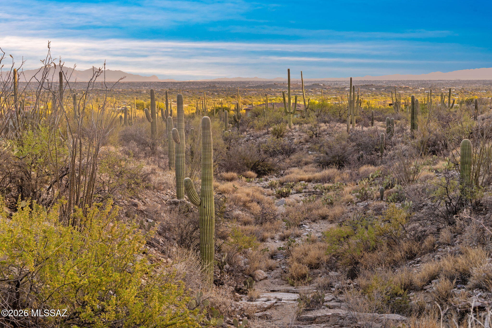 Fetzer Ranch (1-60) - Land