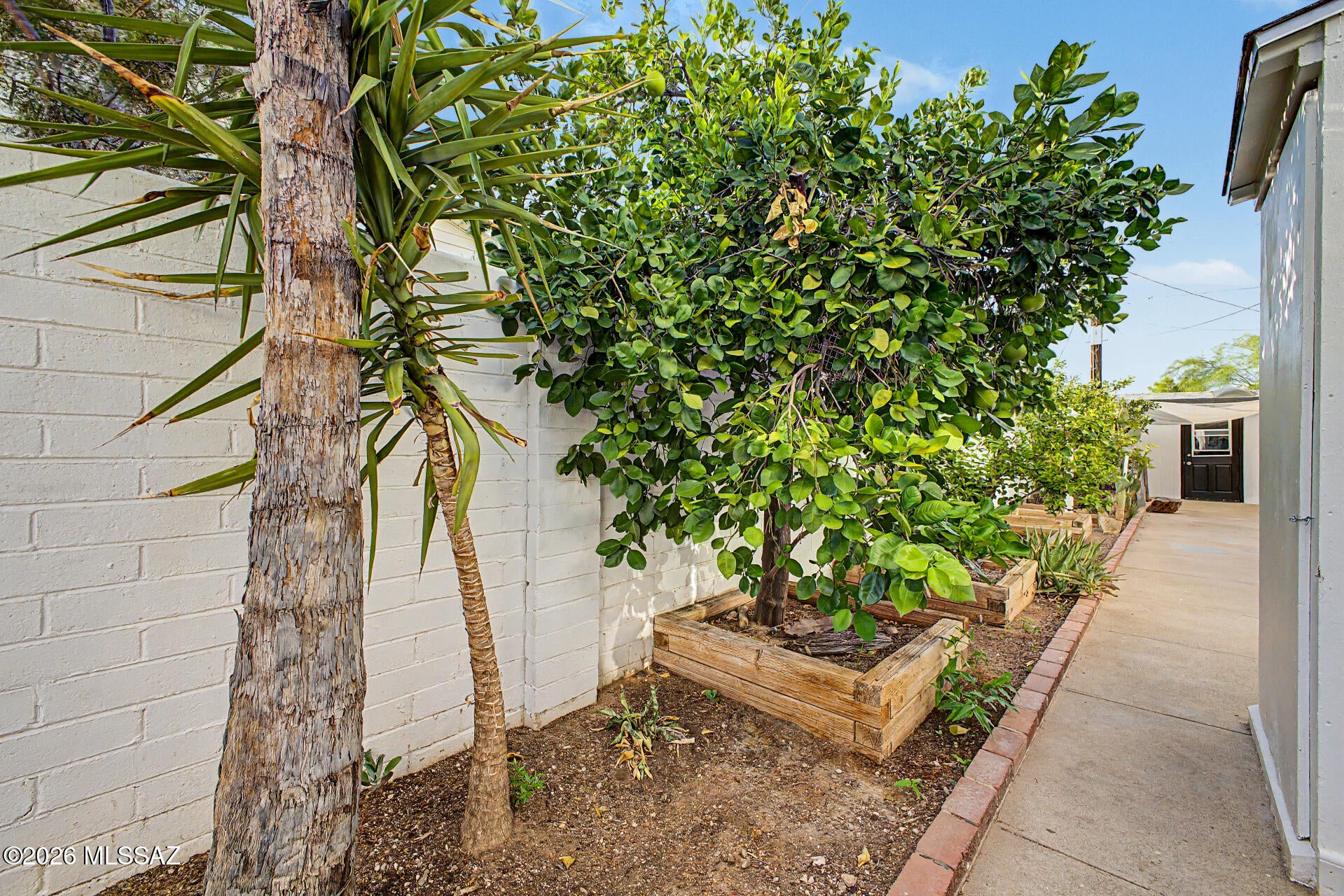Linden Park - Residential