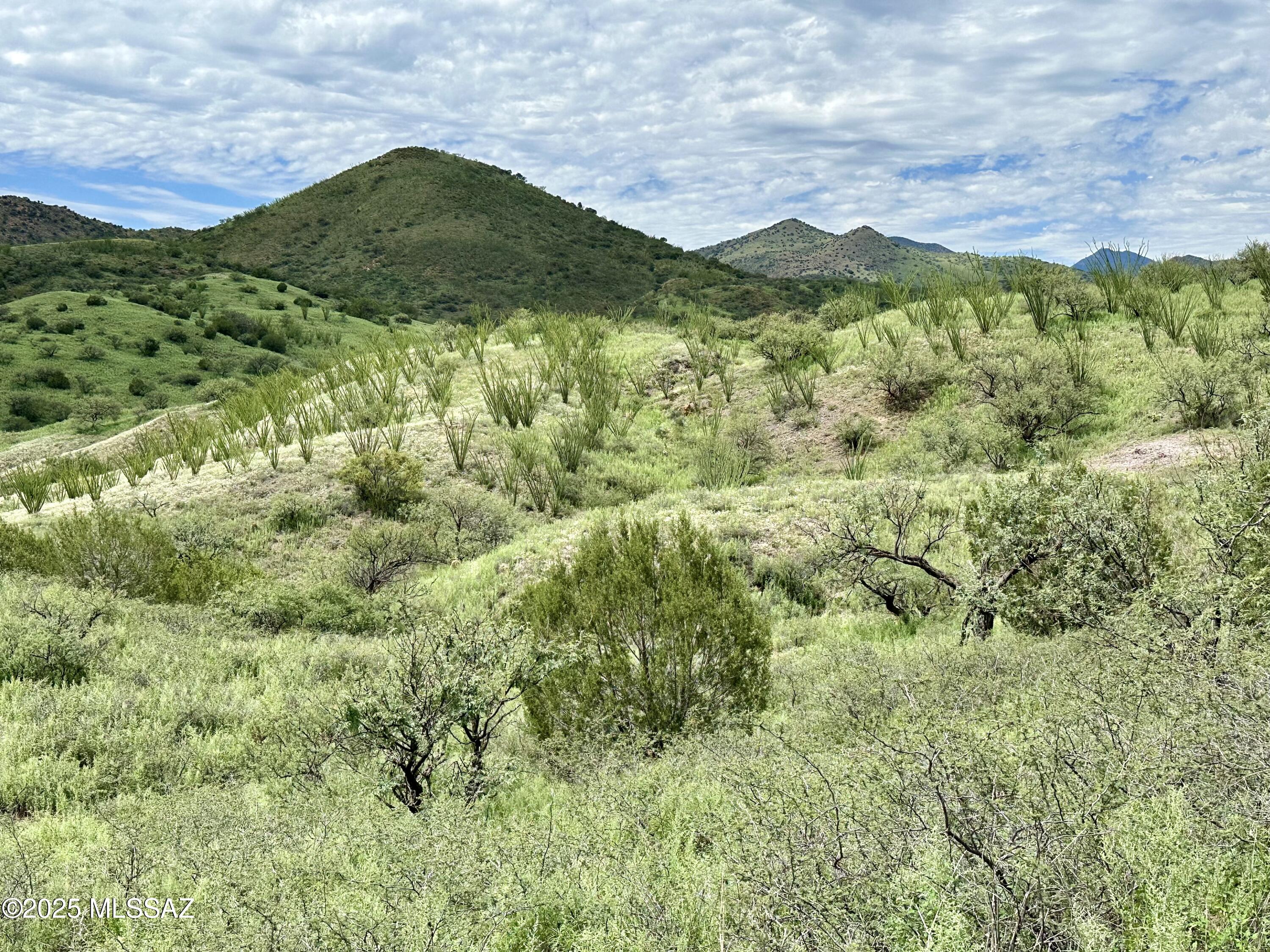 Great View of  Mt Wrightson and the  Santa Ritas Mountains. The property offers lush vegetation, end of road privacy, and peacefully living yet close to Patagonia, great hiking, or riding, nestled between The Nature Conservancy and Coronado National Forest. Perfect for solar, off grid living in a mountain hideaway.
Survey and legal description to be done during escrow period. Taxes reflect a larger parcel