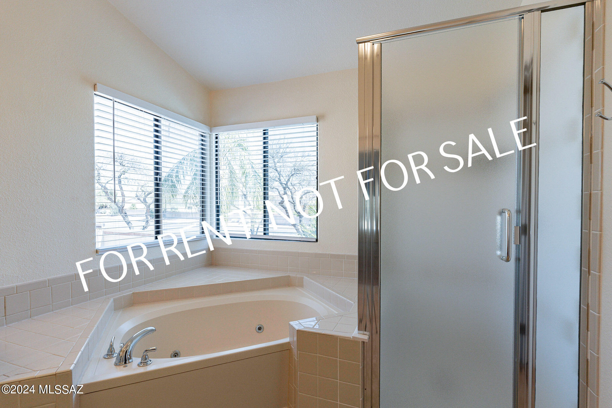 Rancho Vistoso Neighborhood 7 (1-317) - Residential Lease