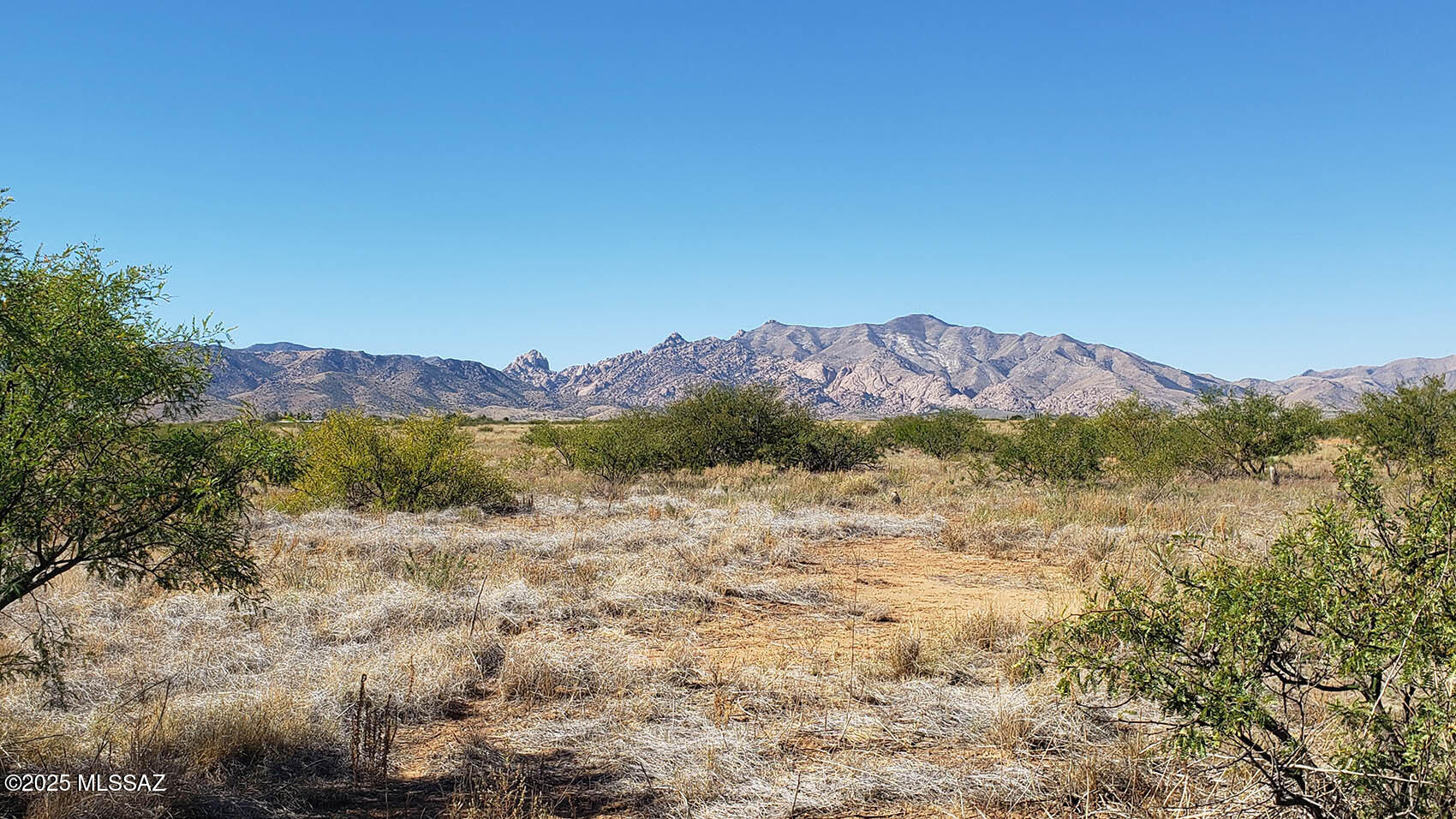 Motivated seller offering this quiet & secluded residential lot. Zoned SR-22 with wide open panoramic views of the surrounding mountains. Minutes to Cochise Stronghold for hiking and recreation. Just a couple of minutes from Sunsites and Highway 191. Also a reasonably quick drive to Willcox, Benson, Tombstone and Bisbee. This could be a tranquil retreat for the a future homeowner looking to build. Drill well, rain catchment or haul water. Site built homes only - tiny homes & cabins OK. Less than 1/4 mile to power. A nice bang-for-the buck option to start developing your Southern Arizona retreat!