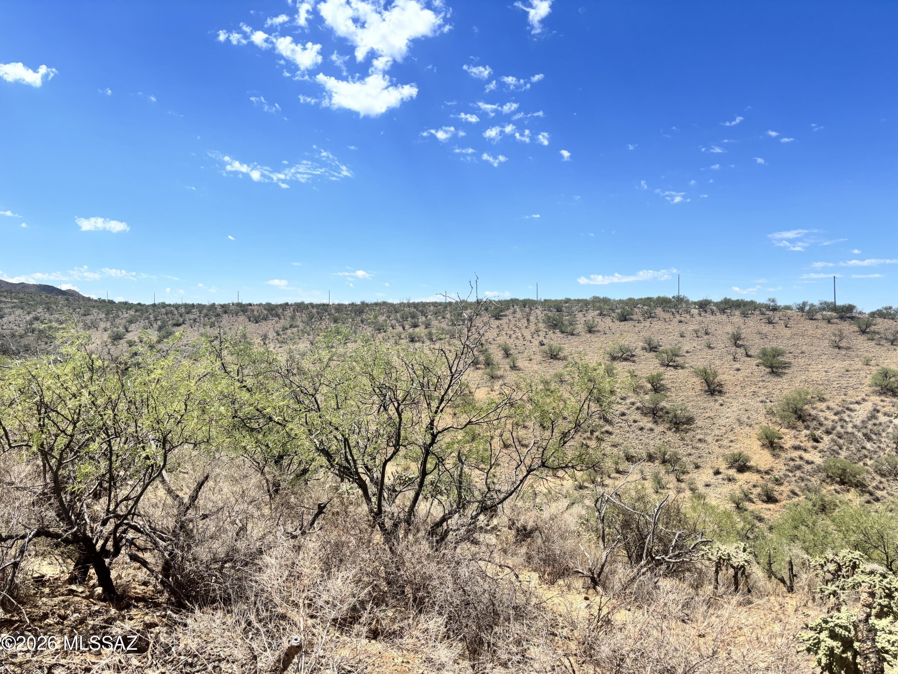 Rio Rico Ranchettes - Land