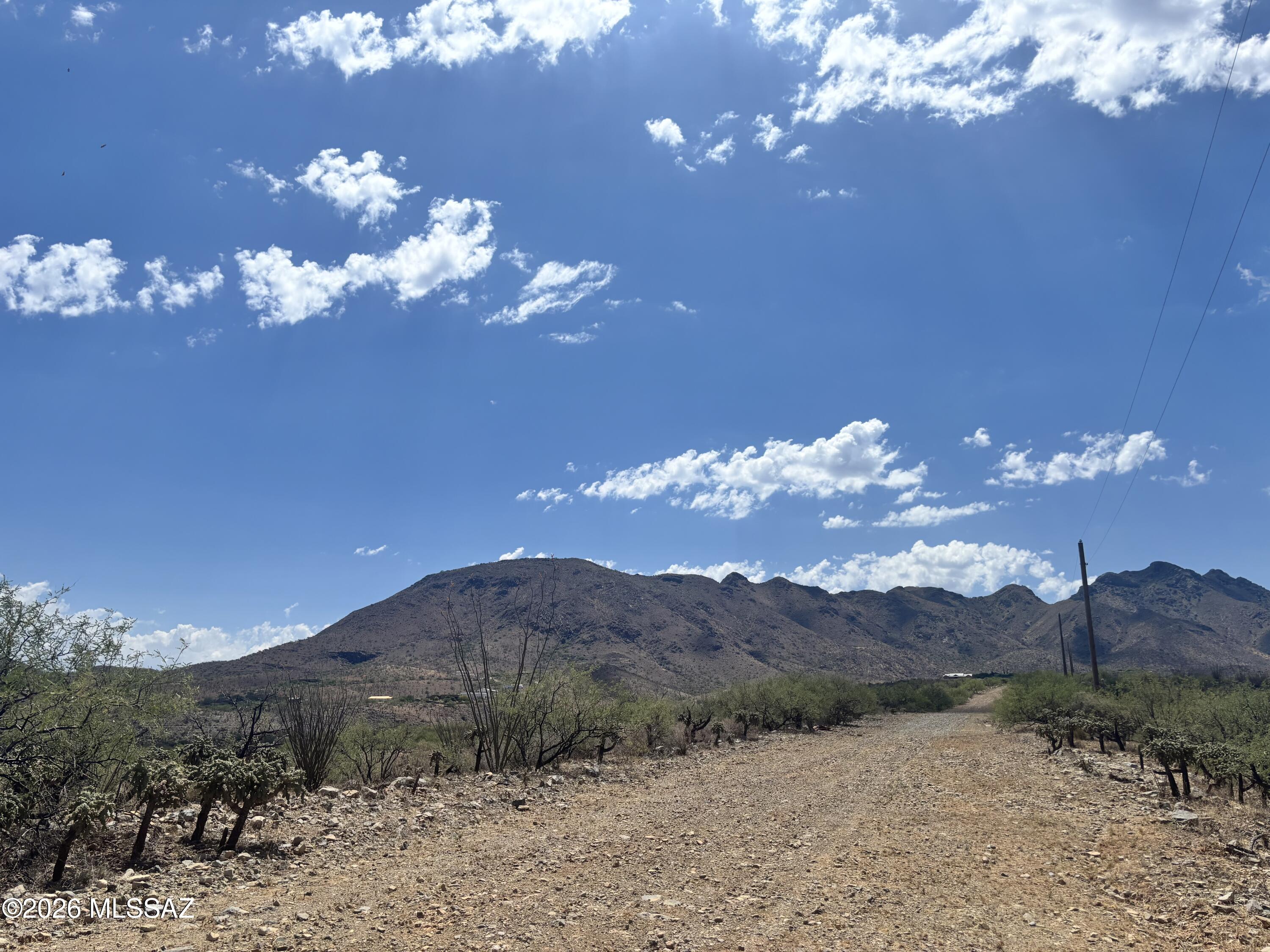 Rio Rico Ranchettes - Land