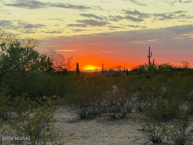 4.5 Acres of beautiful raw desert horse property. Premium location with a short drive from pavement. Countless saguaros throughout property. Gorgeous sunset views. Ranch life just 15 minutes from the fast-growing Marana Exit. Utilities at lot line, with shared well. NO HOA! Single-family homes or manufactured or modular homes are allowed