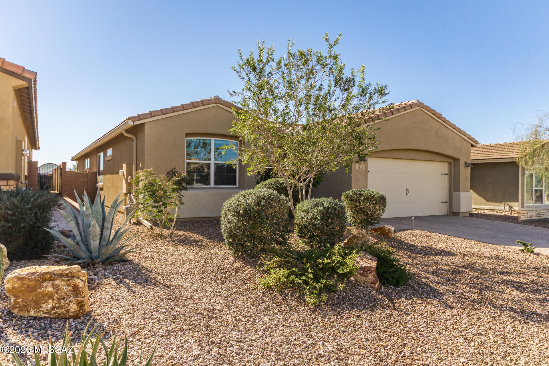 Blue Agave At Dove Mountain - Residential