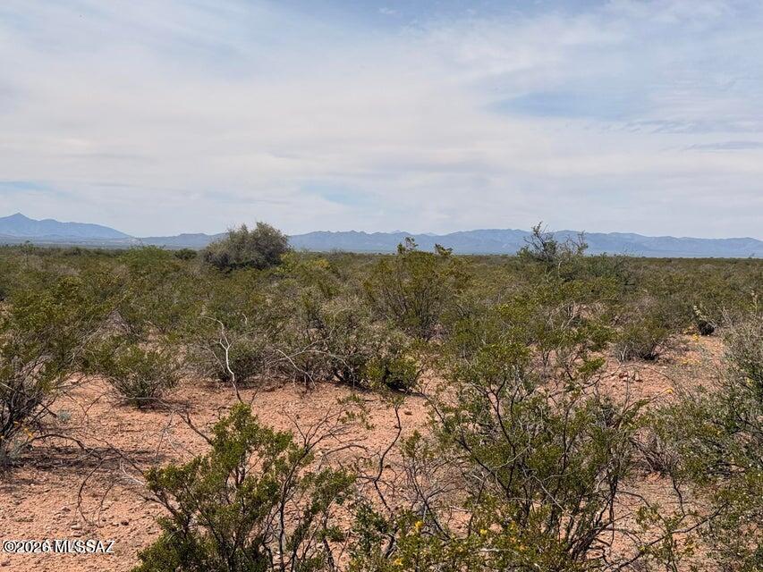 Out Of Pima County - Land