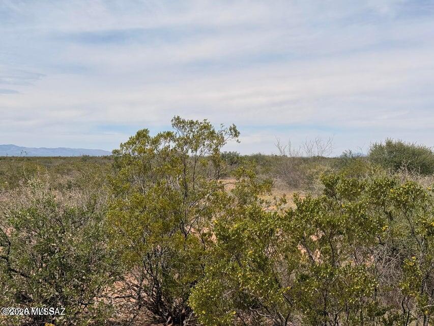 Out Of Pima County - Land