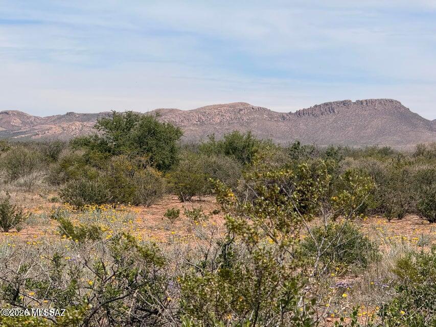 Out Of Pima County - Land