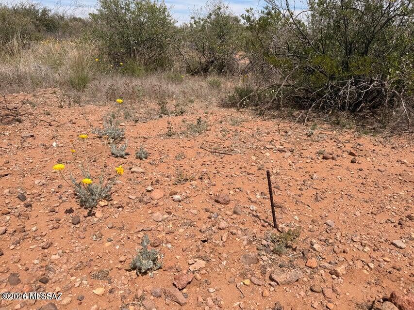Out Of Pima County - Land