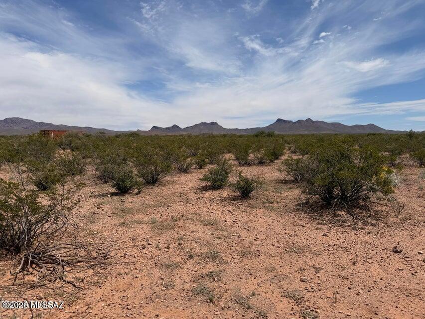 Out Of Pima County - Land