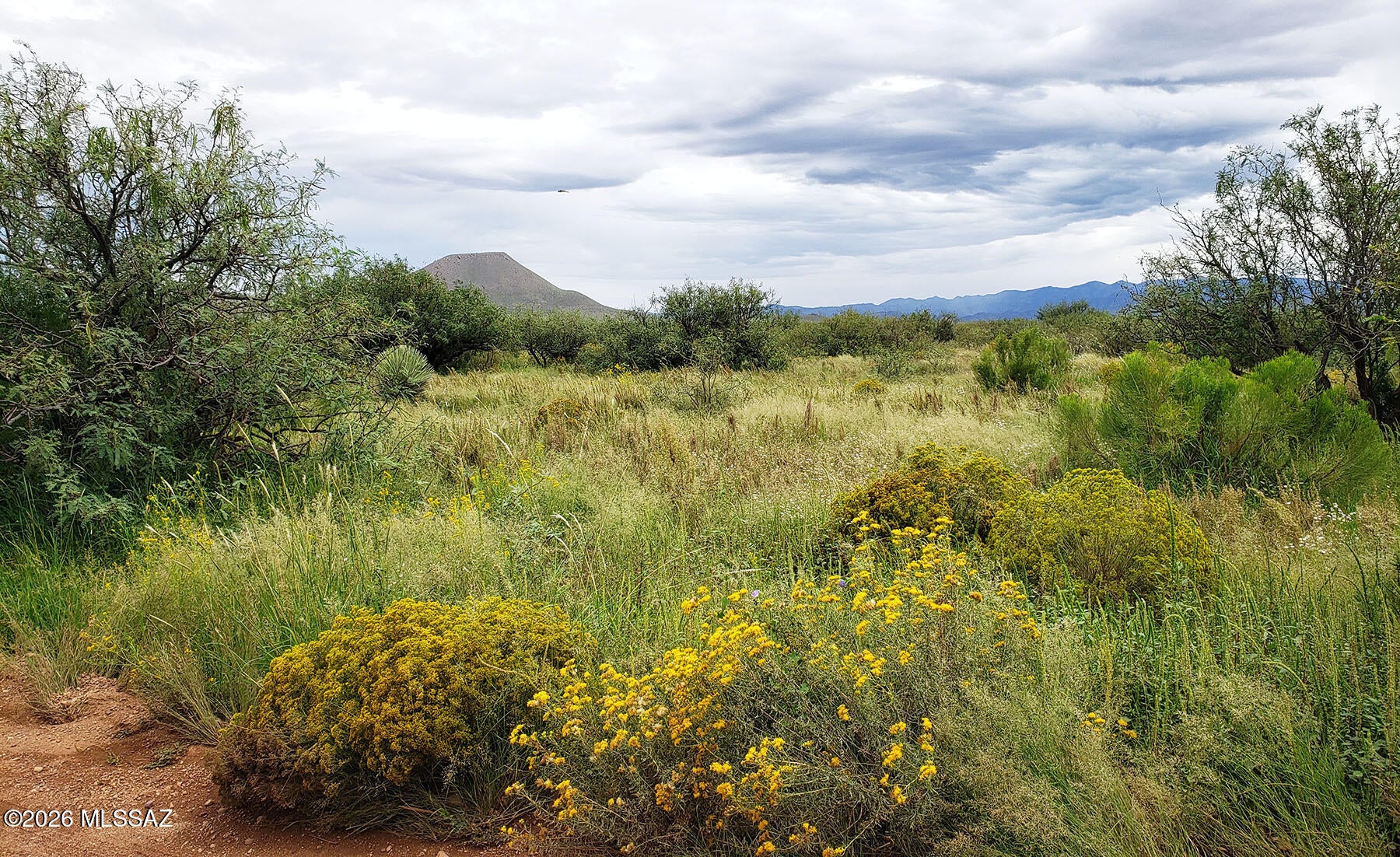 Off-grid 2.53 acre R-36 zoned parcel with quick access from Rucker Canyon Rd. This land boasts impressive views of the surrounding hills & mountains and it's just a short drive into the Chiricahuas for exploration, hunting & camping. Nice combination of native grasses, mesquite, yucca and cactus with plenty of open space. Secluded, yet not far from town for basic amenities. Bisbee, Tombstone, McNeal & Douglas are all within 45 minutes. Zoned R-36; mobile and manufactured homes OK. Phone utility on site. Drill well, rain catchment or water haul. You'll need solar and/or generator for power. This area is about 4400 feet in elevation, making it much cooler in the summer than most of Arizona. Come see this scenic and tranquil high desert location & get away from all the city noise & stress.