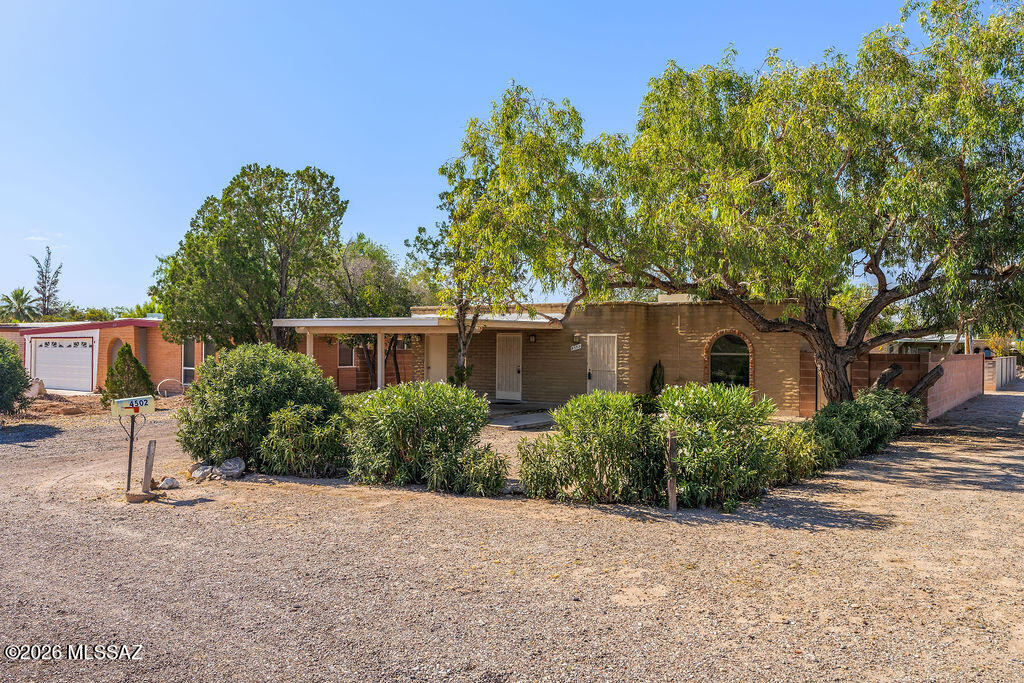 Right in the heart of Tucson, this spacious brick home was just updated with new countertops, bathroom cabinets, freshly painted kitchen cabinets, new fixtures and brand-new luxury plank flooring. It comes with stainless steel appliances, W/D H/U, living room, family room with dining area, central air., large walled back yard, corner lot, with trees, extra storage room in carport, security screen doors, 2-car carport. Great central location close to Plaza Palomino, McCormick Park, shopping and restaurants.
