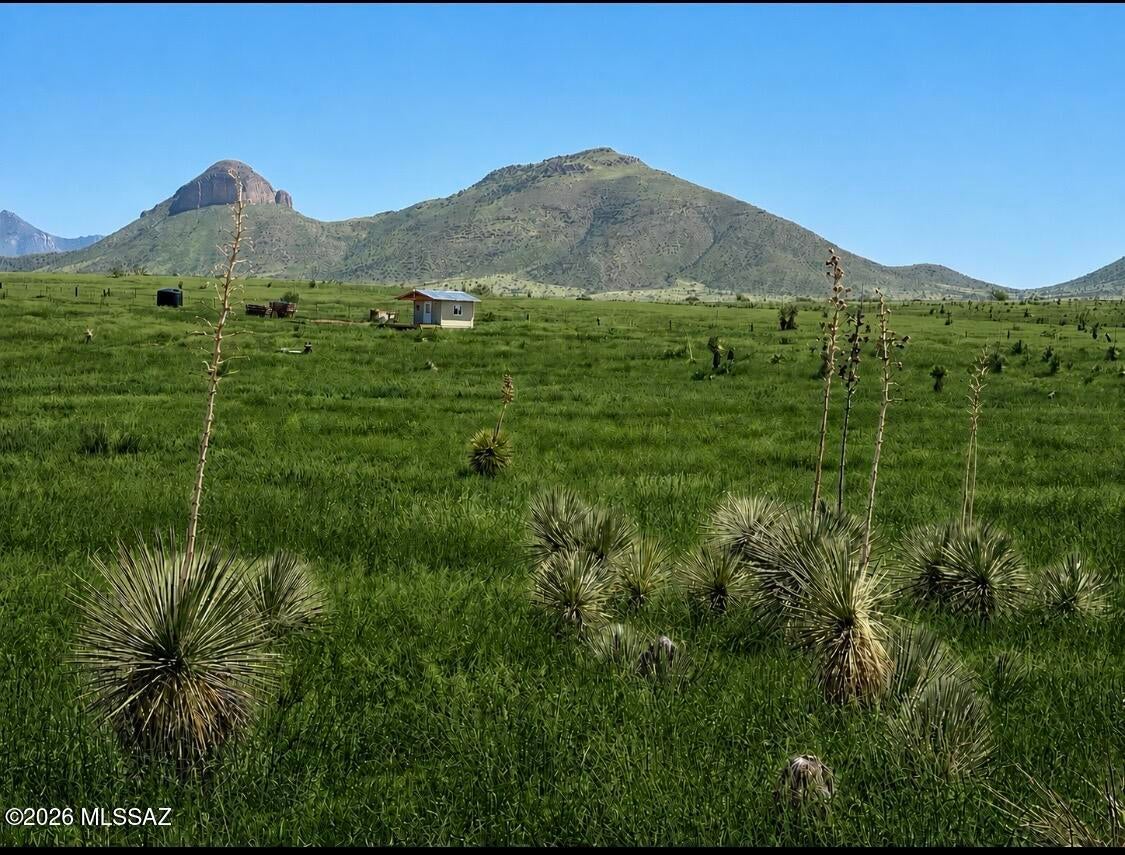 Build your dream home overlooking mountain meadows. This 20 acres is very private and borders State land to the east of the property line. Rural and Quiet but yet a connected community. Cooler climate and dramatic scenery of grassland and mountains! Elgin is known to be the oldest AVA wine region with around 20 wineries. This property is fenced with barbwire and has a small shed with a deck. Come check it out!