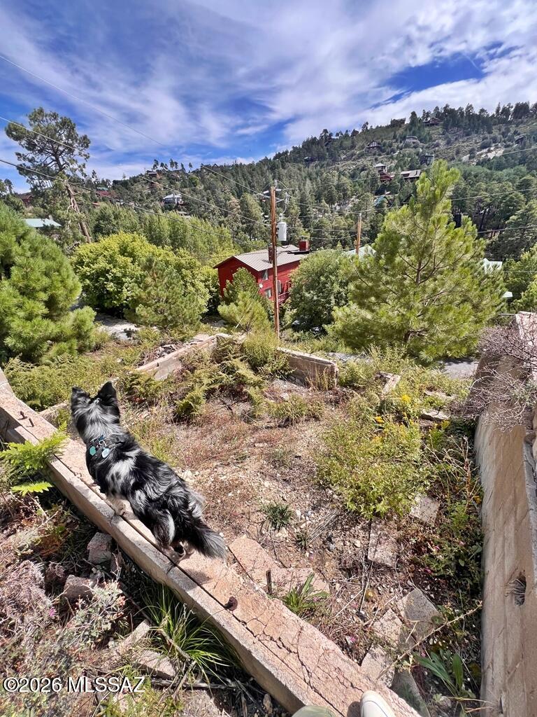 Very Close to Mt Lemmon Lodge and the Cookie Cabin. Year Round Access. 
Seller will consider Seller Carryback with low down payment .
Great opportunity to build your Mount Lemmon getaway.  WATER to building location, retaining walls for driveway and Previously approved plans included for a 2 story cabin that will need to be updated or modified by the new owner. UNOBSTRUCTED views, surrounded by BEAUTIFUL CUSTOM homes, shared driveway access to the cabin location and ALL WEATHER ACCESS. 
This property had been developed prior to a fire many years ago,