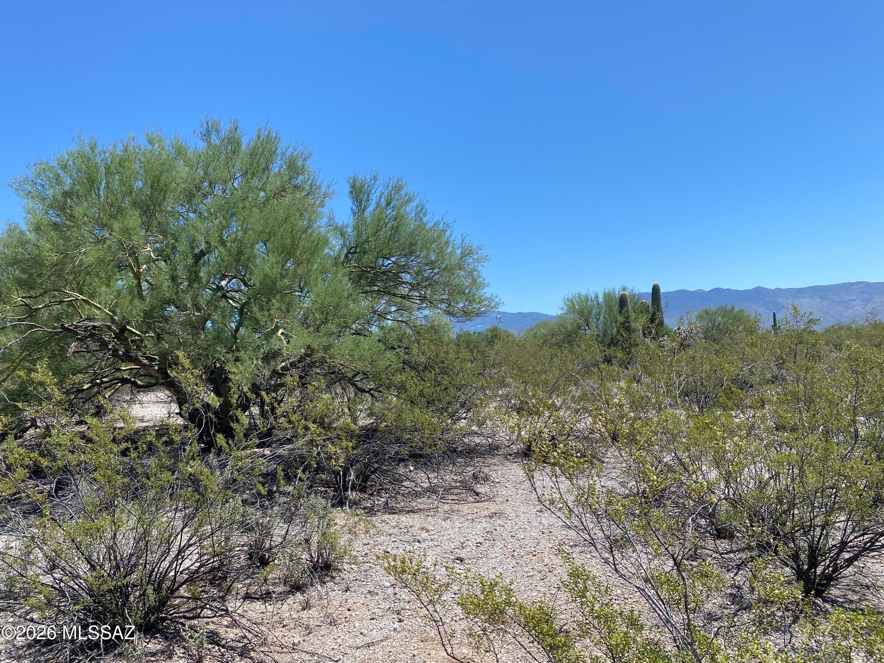None - Land