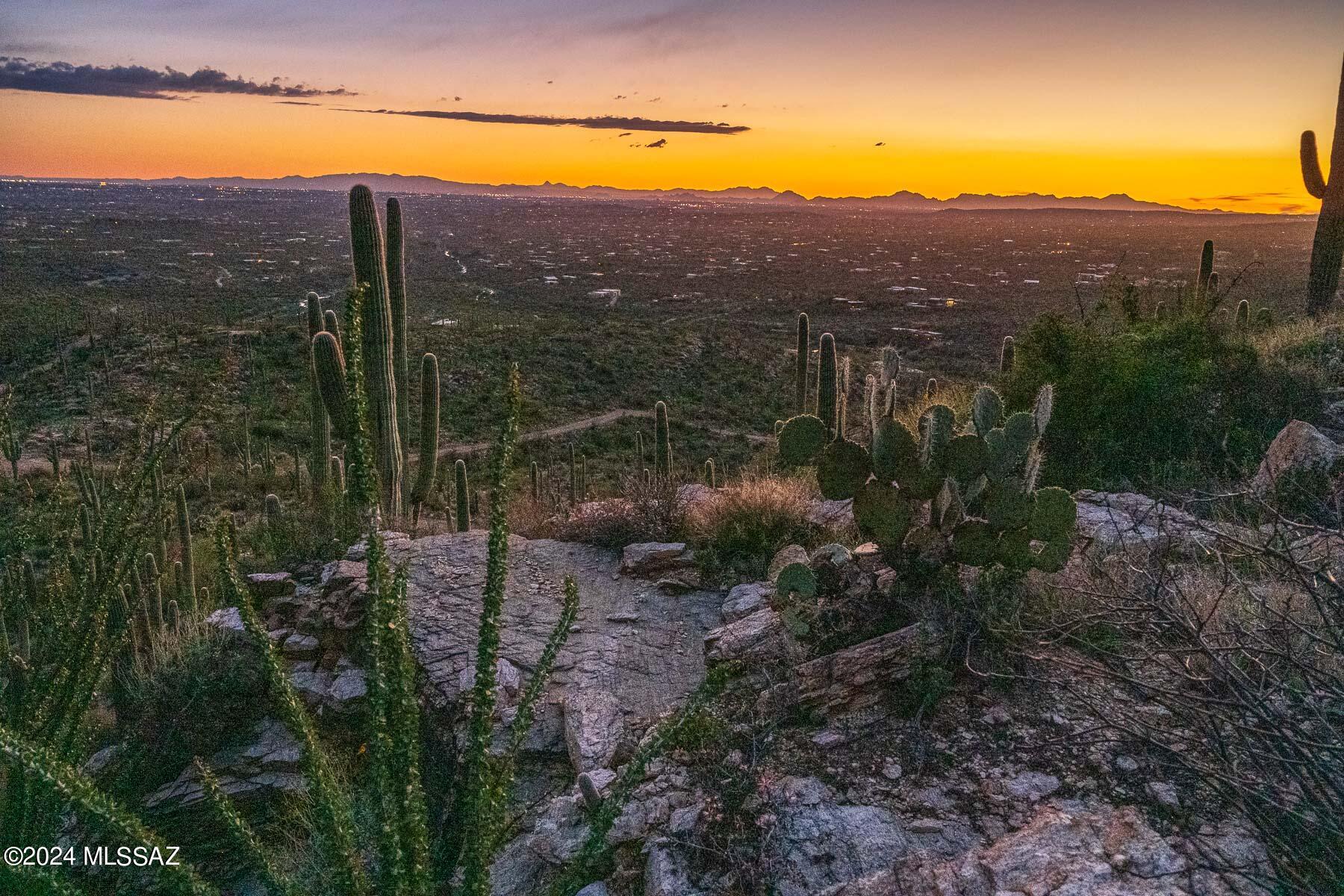 This beautiful premier lot ''C'' is in the Northeast corner of Tucson AZ in the highly popular Tanque Verde Valley. Perched on the mountainside of the Catalina Mountains, this lot feature spectacular views of mountains, City lights, sunsets & sunrises, stars and much more. Tucked between the beautiful Molino Canyon & Aqua Caliente Canyon w/ wildlife, saguaros & desert landscaping, gorgeous rock features, hiking trails and more. This lot has a proposed building pad that is graded. On file, there are surveys & more, an extensive file.  This 3.31acre lot has breath taking views that is best to appreciate around sunset.  Once you experience this land in person, you will fall in love & see why it is so unique & incredible!  Call for an appointment today.  There are 4 other lots for sale. A Lot is also known as J Lot. See videos for a tour. 
This lot is 3+ acres and has a building pad.  
There is surveys plotting out home location and more.
This lot has a driveway going up a small canyon and turns a couple times, so park and walk from the road.  It is well worth it because the views are amazing.  The nature lover lot as hiking trails are within sight on the SE corner of lot.