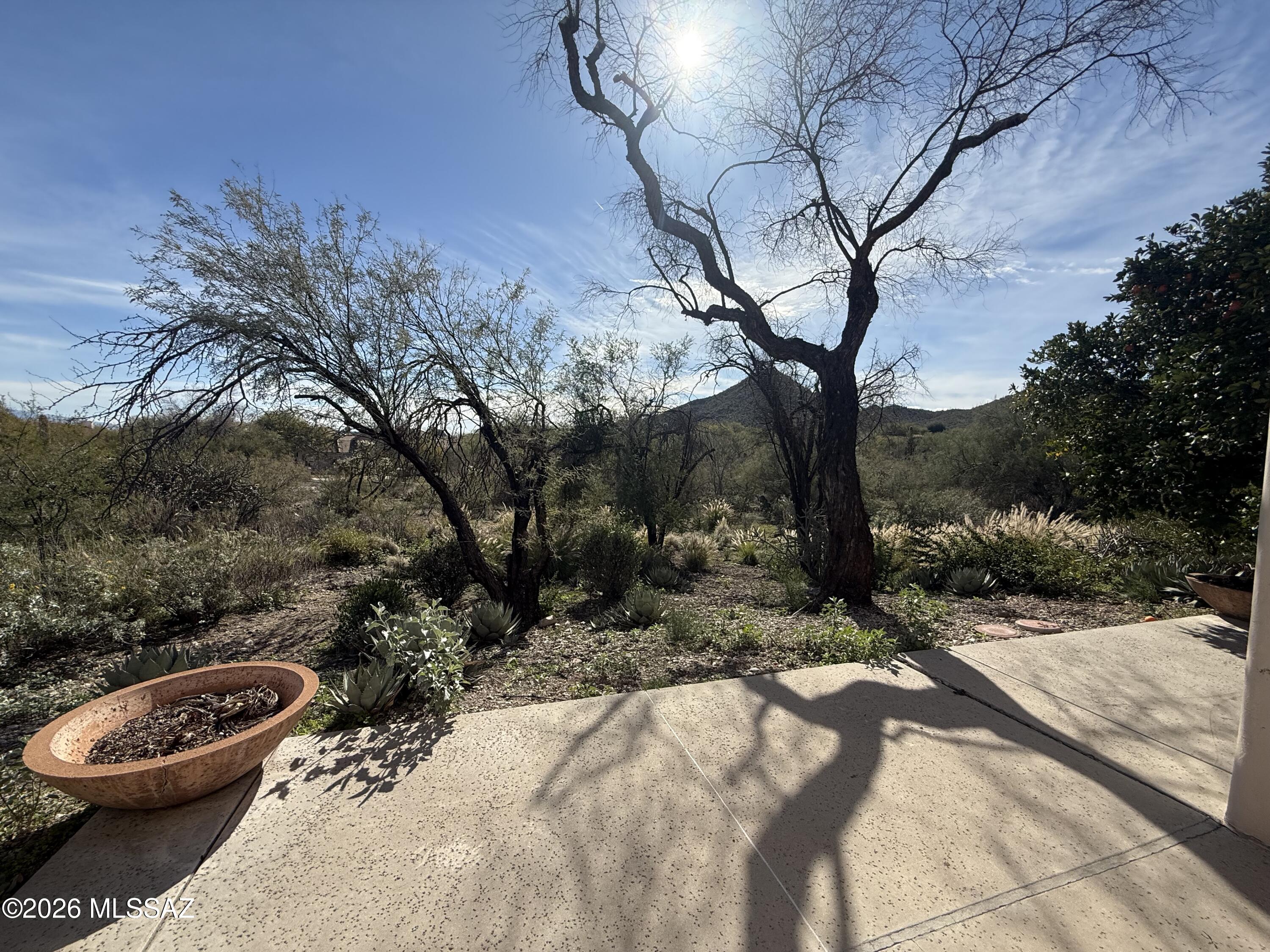Starr Pass - Residential Lease
