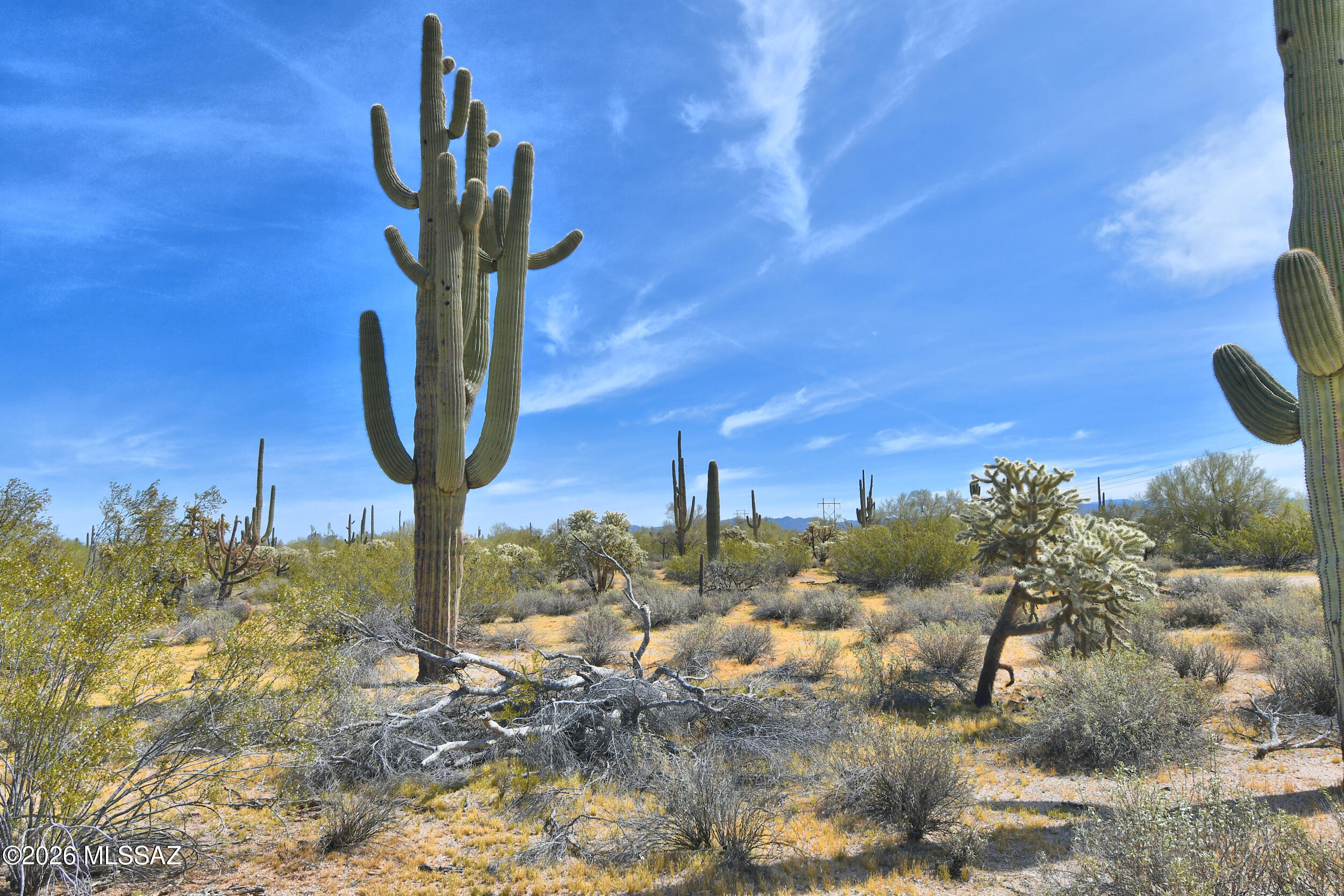Opportunity Knocks! Gorgeous 9+ acre property with an incomplete custom home. Started in 2000. Sited near the center of the acreage. The land's east boundary abuts vast state land. The views are superb, saguaros, mountains, bright blue skies. This is your opportunity to create the desert homestead you've dreamed of! And, do it at your own pace. No HOA. 1500gal. septic system installed w/permit. Expired permit for 3400sf home plus garage. There's 1 mile of unpaved road, lightly traveled and very sandy. The last 1/3 mi is not maintained & not suitable for 2-wheel drive vehicles. Do not enter the property or structure without an appointment. This is an as-is sale offered to cash or buyers using a pvt loan.