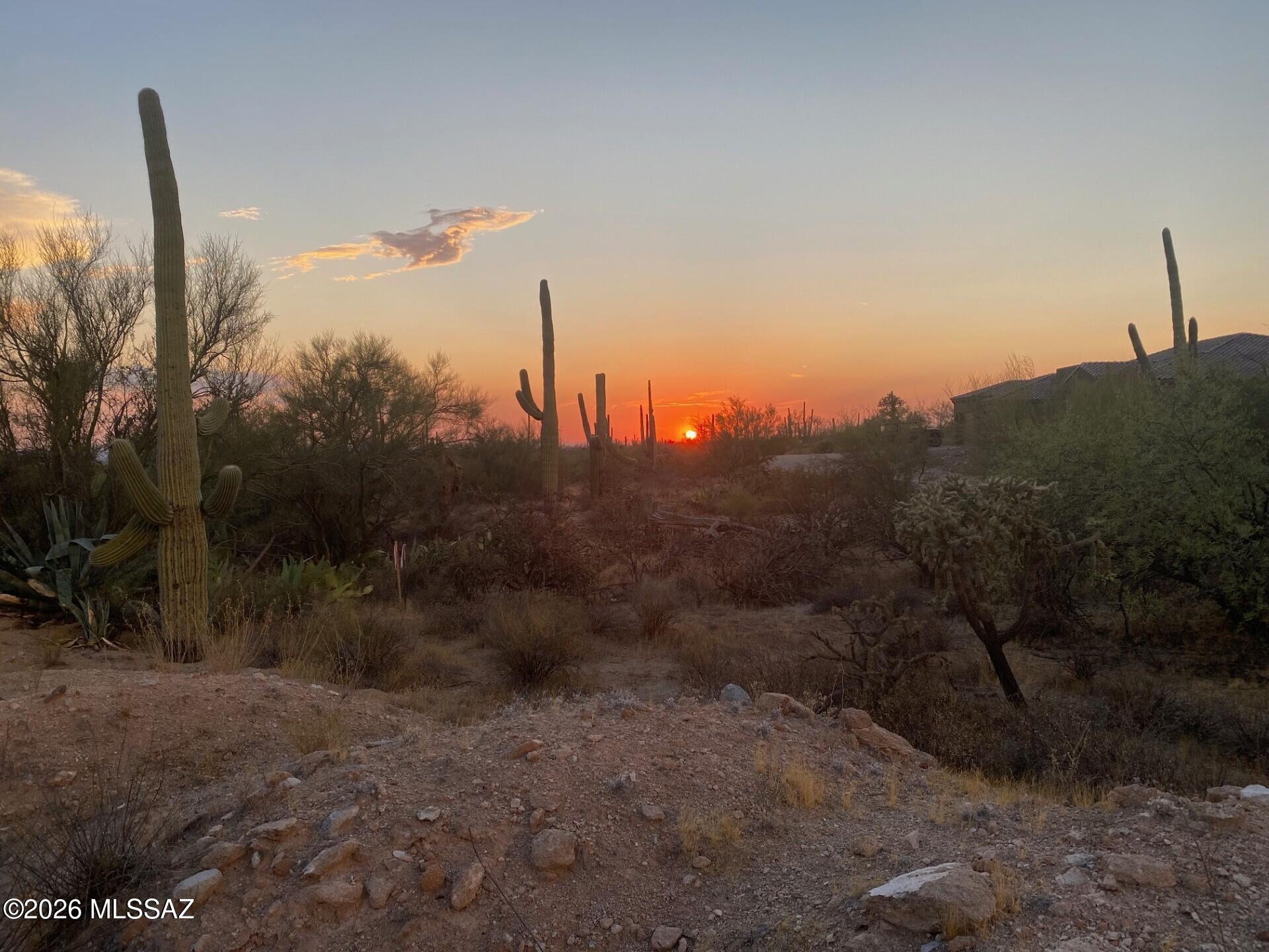 Create the custom home you've always envisioned on this exceptional 2+ acre homesite! Tucked away at the end of a quiet cul-de-sac in the gated Estates at Tortolita Preserve, an exclusive enclave in the highly desirable Dove Mountain area. Surrounded by untouched Sonoran Desert and bordering more than 2,400 acres of protected preserve land, and easy access to the AZ State Trust Land. The relatively flat terrain simplifies the building process, while utilities are already available at the lot (except septic), allowing you to focus on bringing your vision to life. Enjoy unobstructed peaceful sunsets with westward mountain views, and convenient access to hiking and biking trails, golf courses, dining, and everyday amenities. Optional concept building plans (with RV garage) included with the sale. Plenty of land for separate casita as well. Extra dirt fill is already available on the lot for grading. Recent land improvements include removal of west side power lines for valley lights, distant mountain and sunset views.