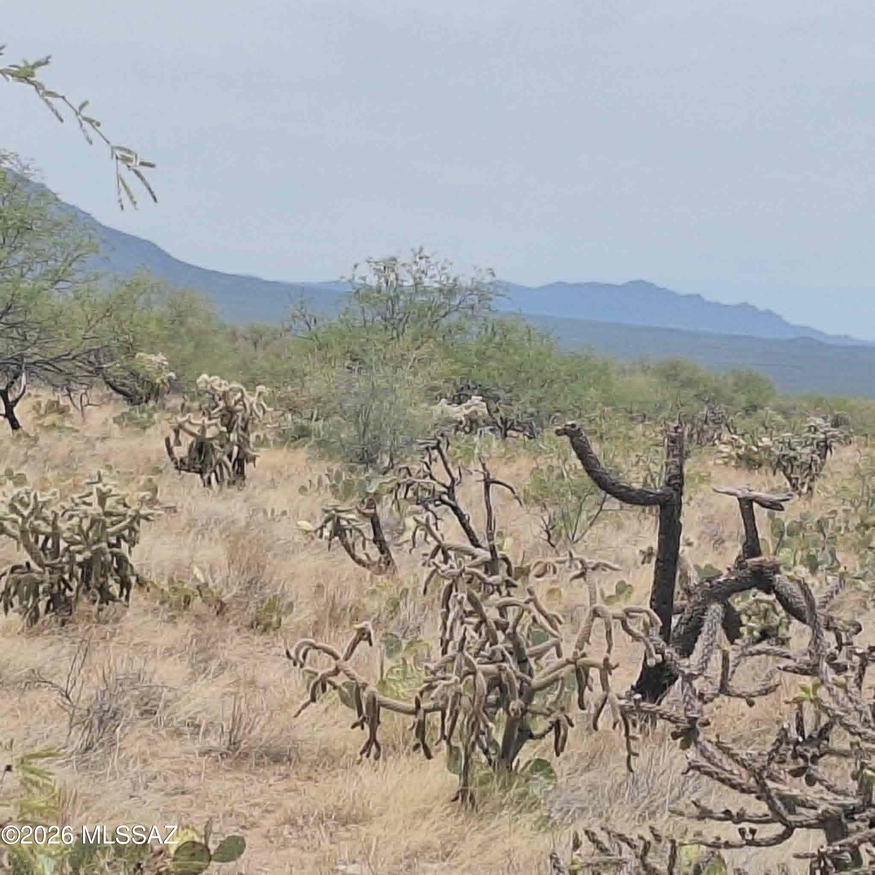 Diamond Bell Ranch - Tucson Unit 6 (1-435) - Land
