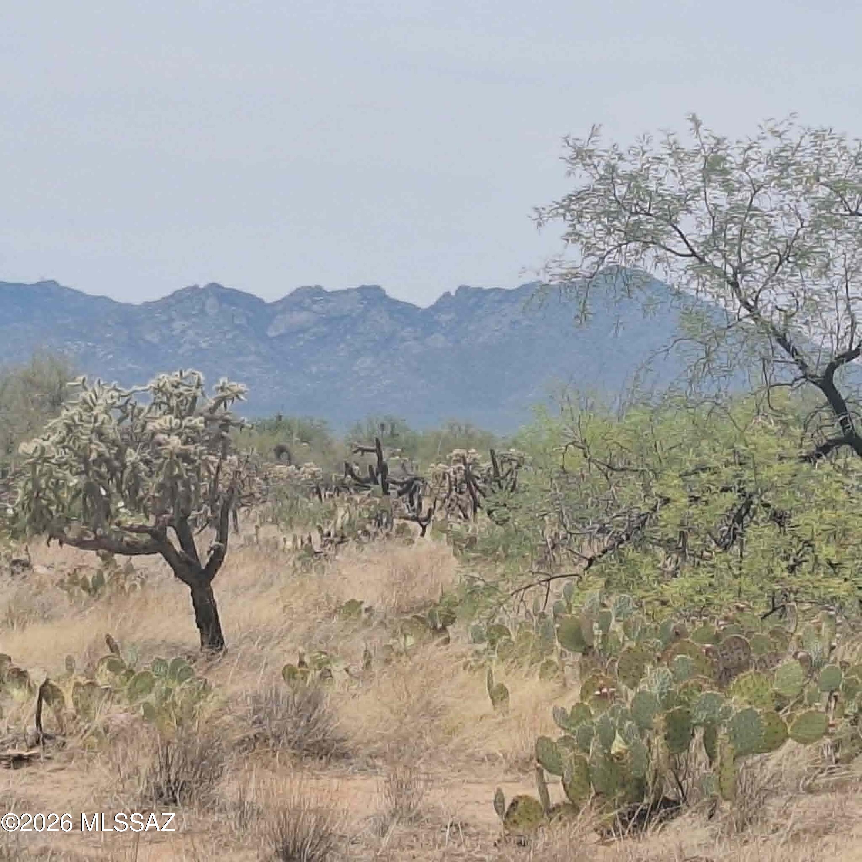 Diamond Bell Ranch - Tucson Unit 6 (1-435) - Land