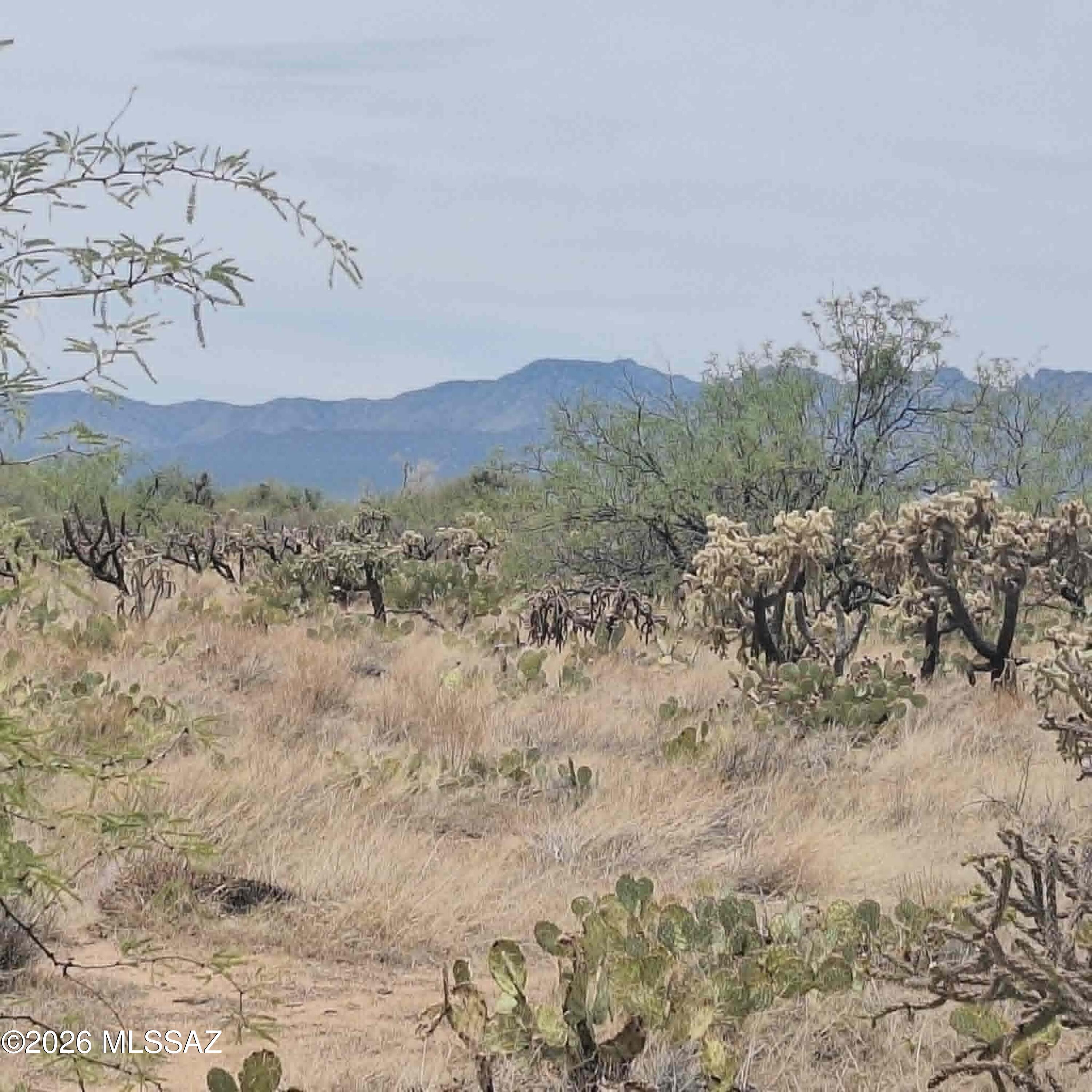Diamond Bell Ranch - Tucson Unit 6 (1-435) - Land