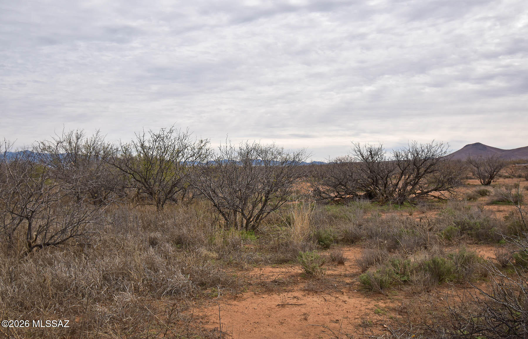 Ash Creek Ranch - Land