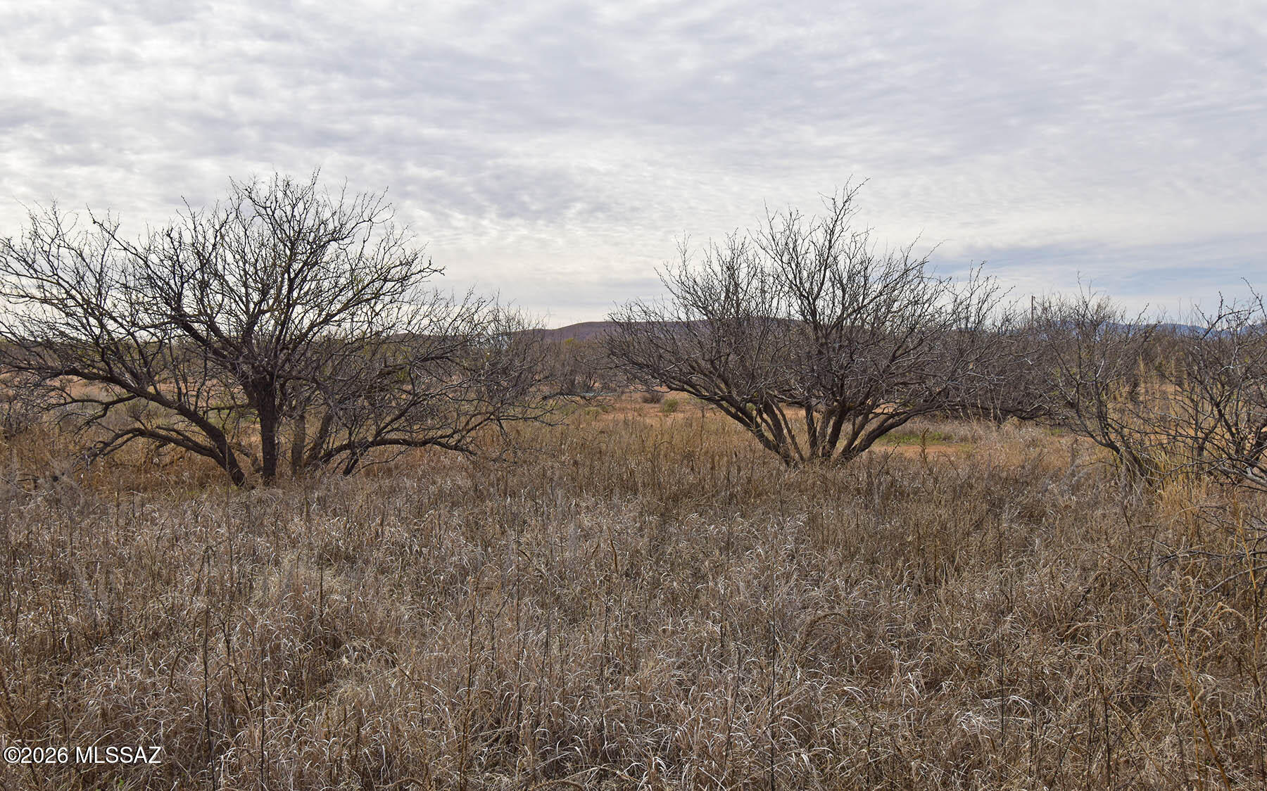 Ash Creek Ranch - Land