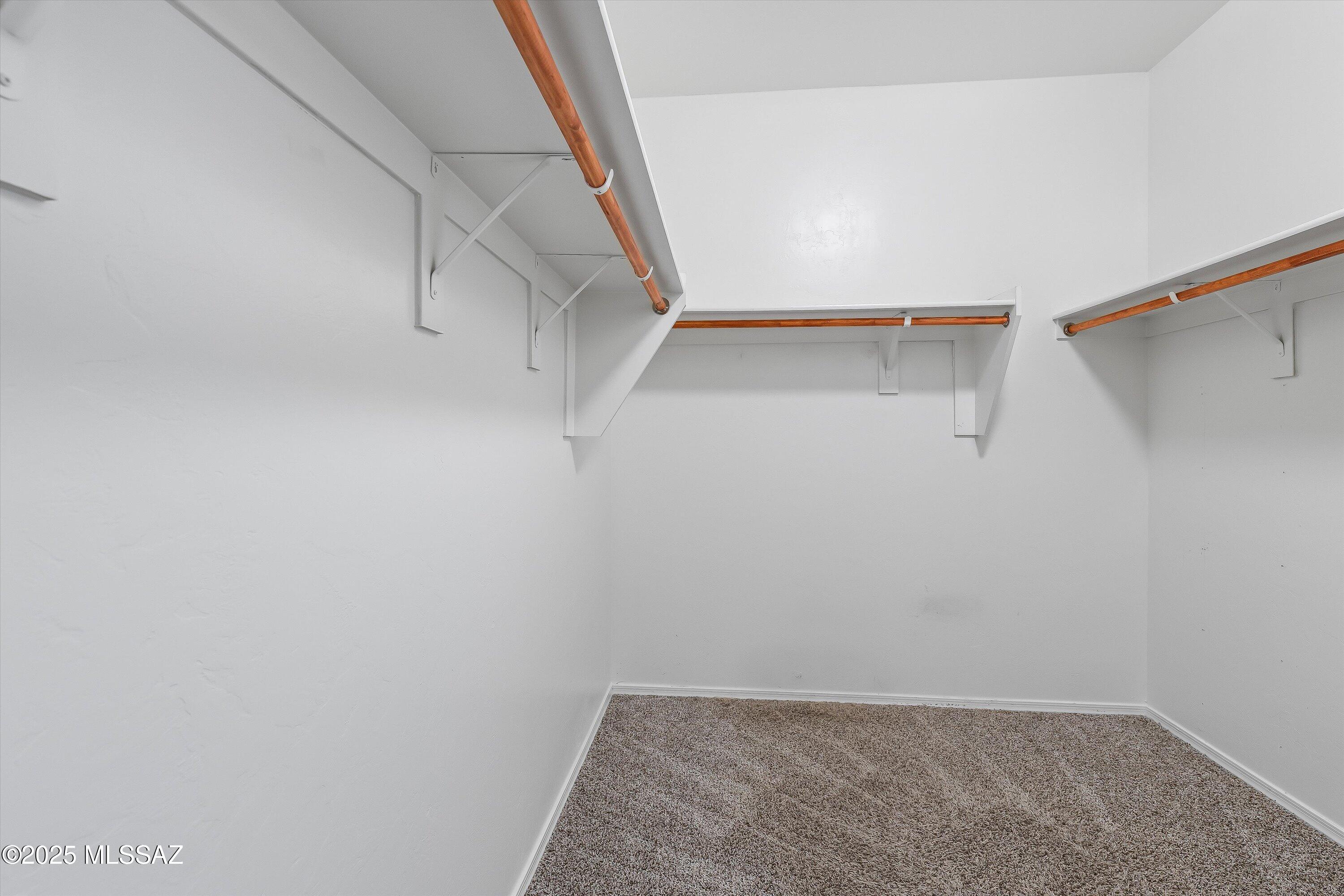 Saguaro Bloom SQ20180540069 - Residential
