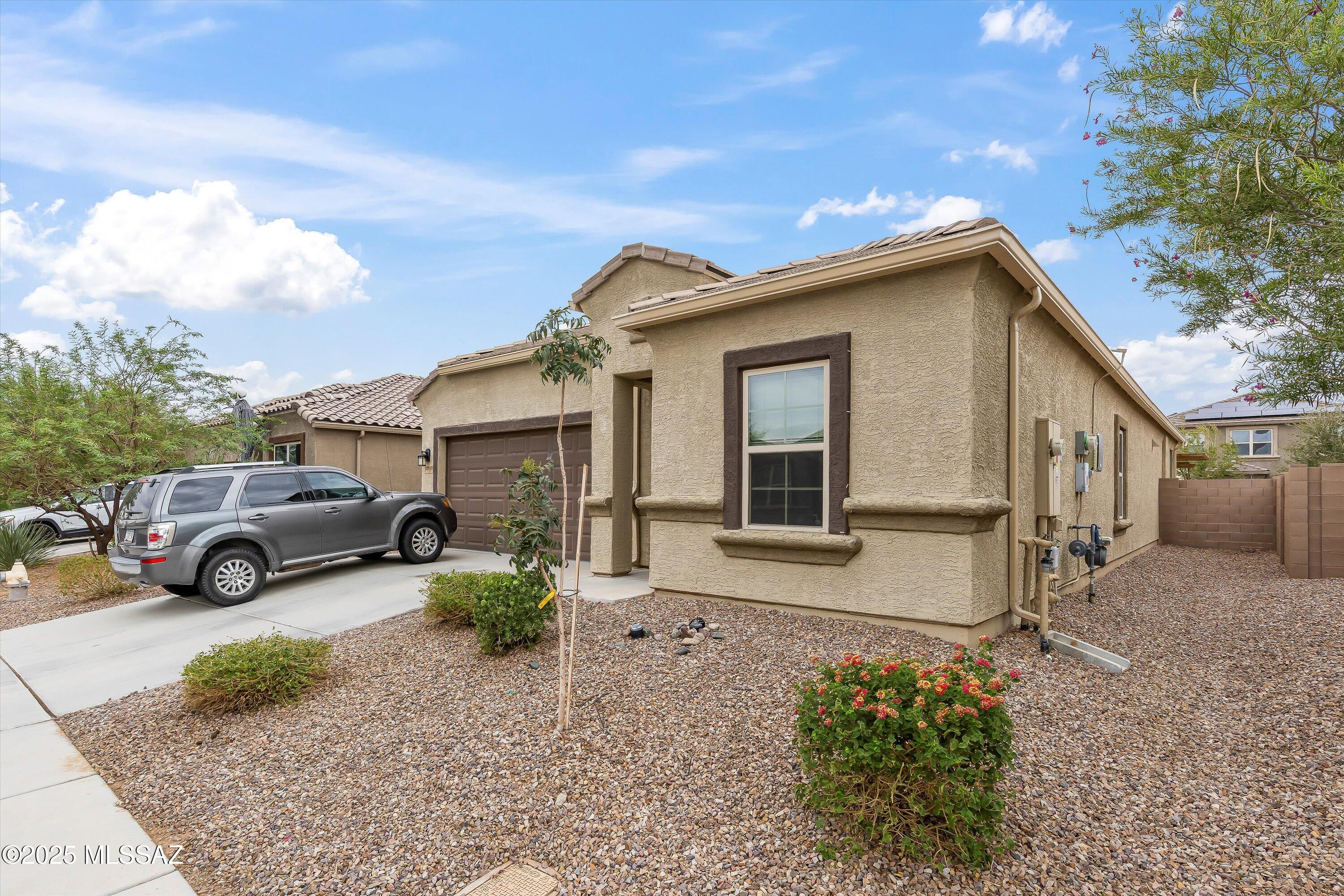 Saguaro Bloom SQ20180540069 - Residential