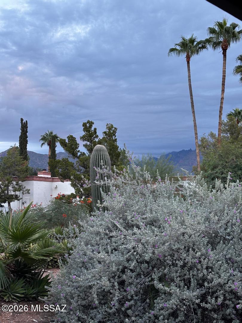 Sonoran Palms Townhomes (1-68) - Residential