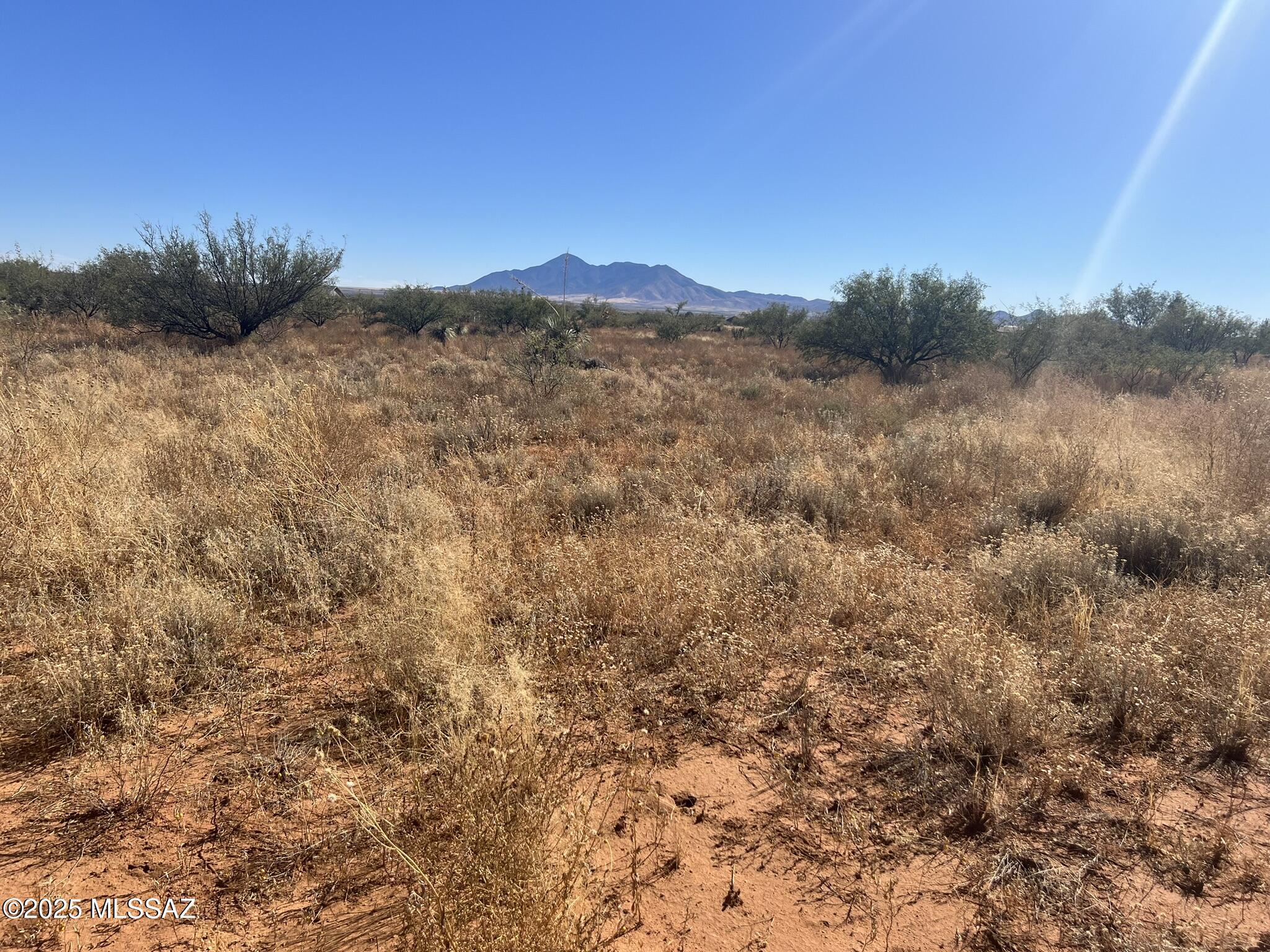 Dreaming of building your custom home? This 4 acre parcel in Hereford is your chance! Surrounded by breath taking Mountain views in every direction, the property is partially developed with a 1/2 well share and electricity already in place. Conveniently located just off a paved road and less than a mile from San Pedro River, you'll enjoy the right biodiversity of this area.  Home to countless bird species, and seasonal migrations. With natural beauty all around, this is one of a few great opportunities in the area to create a perfect home.