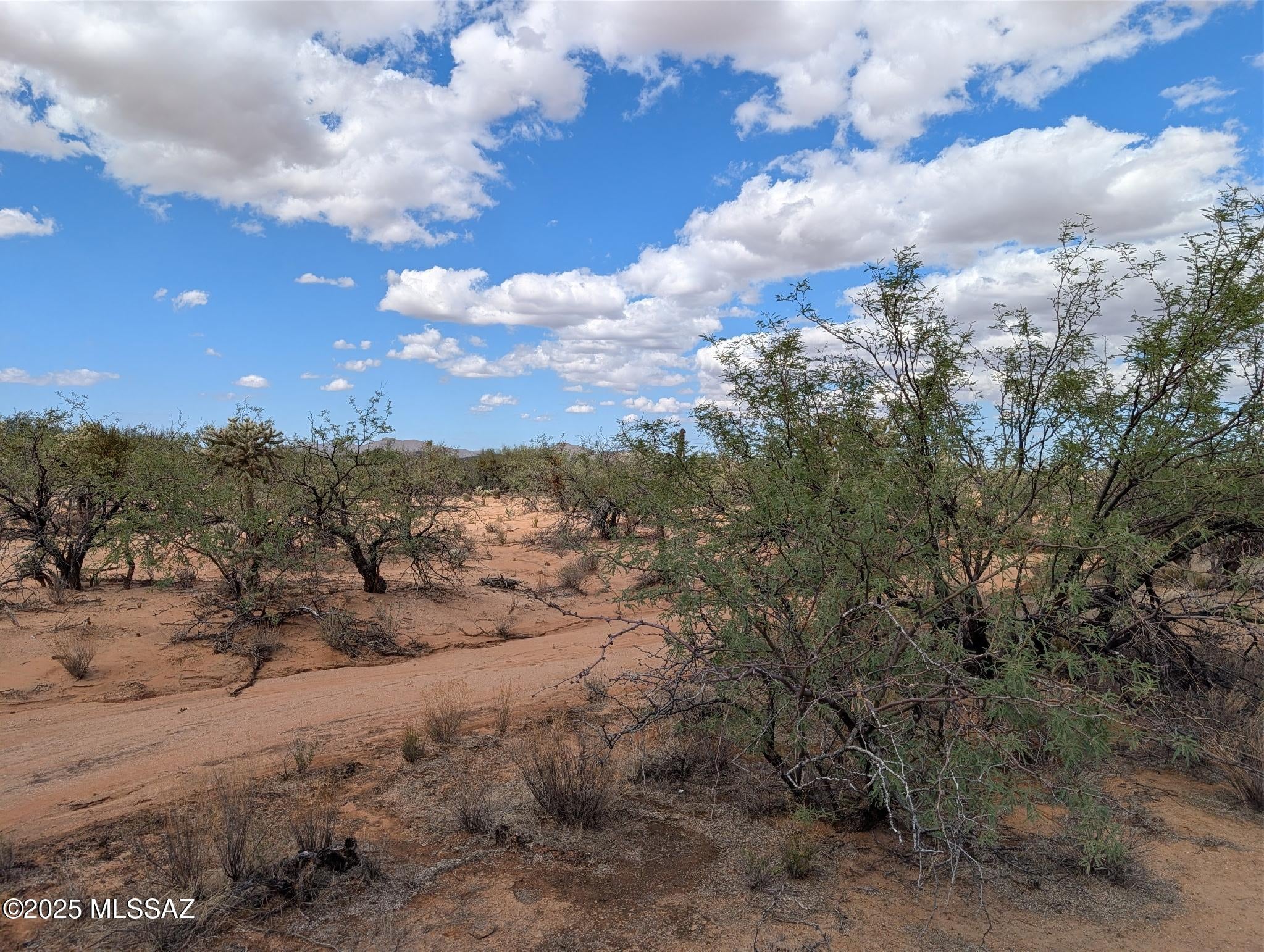 Newly Surveyed4  parcels available OR purchase all and split. BLM land on the east and State Trust land to the South. Gorgeous Mountain Views. Peaceful and Quiet. Perfect Horse Property with trails all around! 3 Points is a nice community that boasts eateries, shopping gas station. Conveniently located and only 15 minutes to Casino Del Sol!