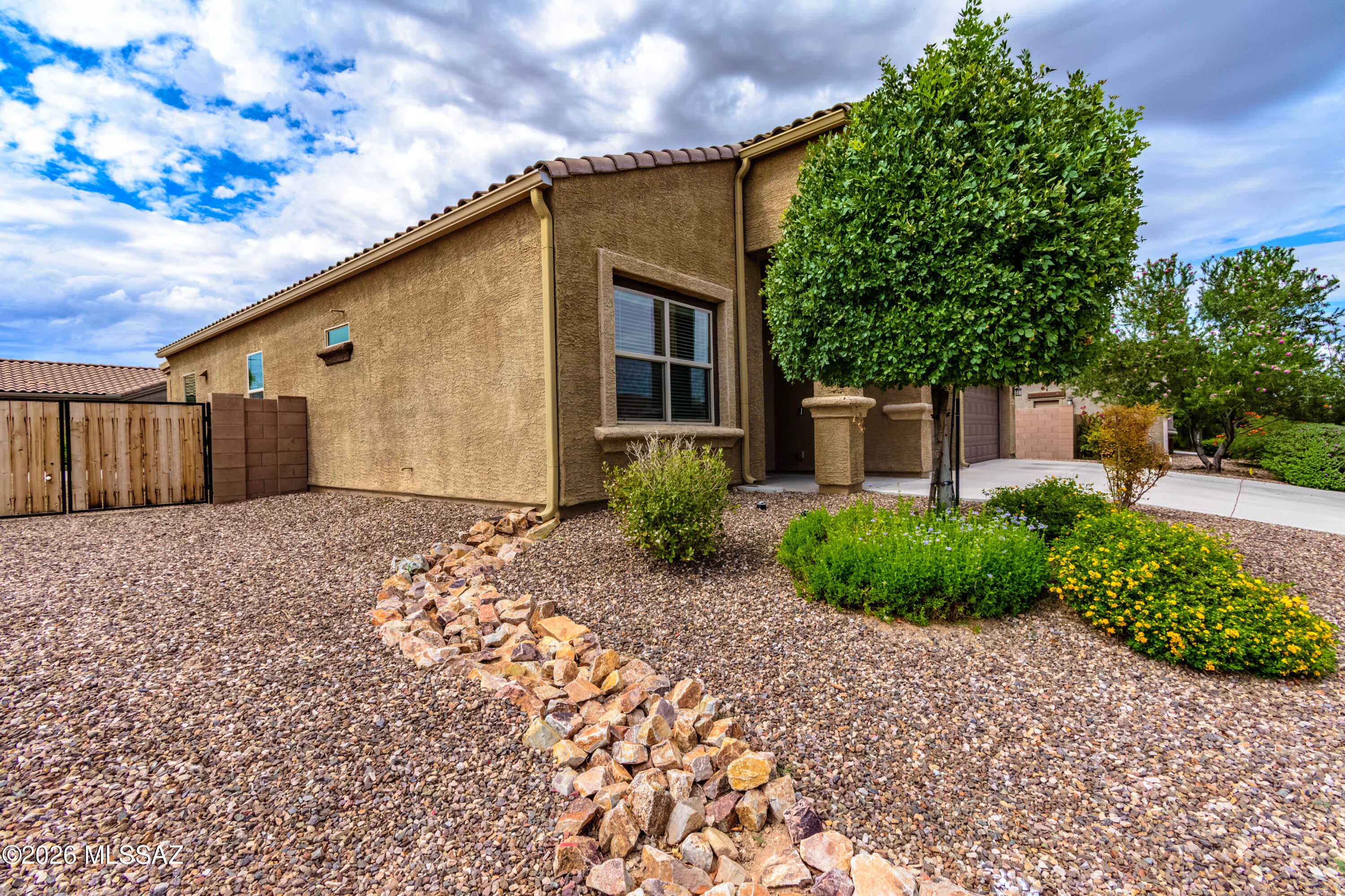 Saguaro Bloom - Residential