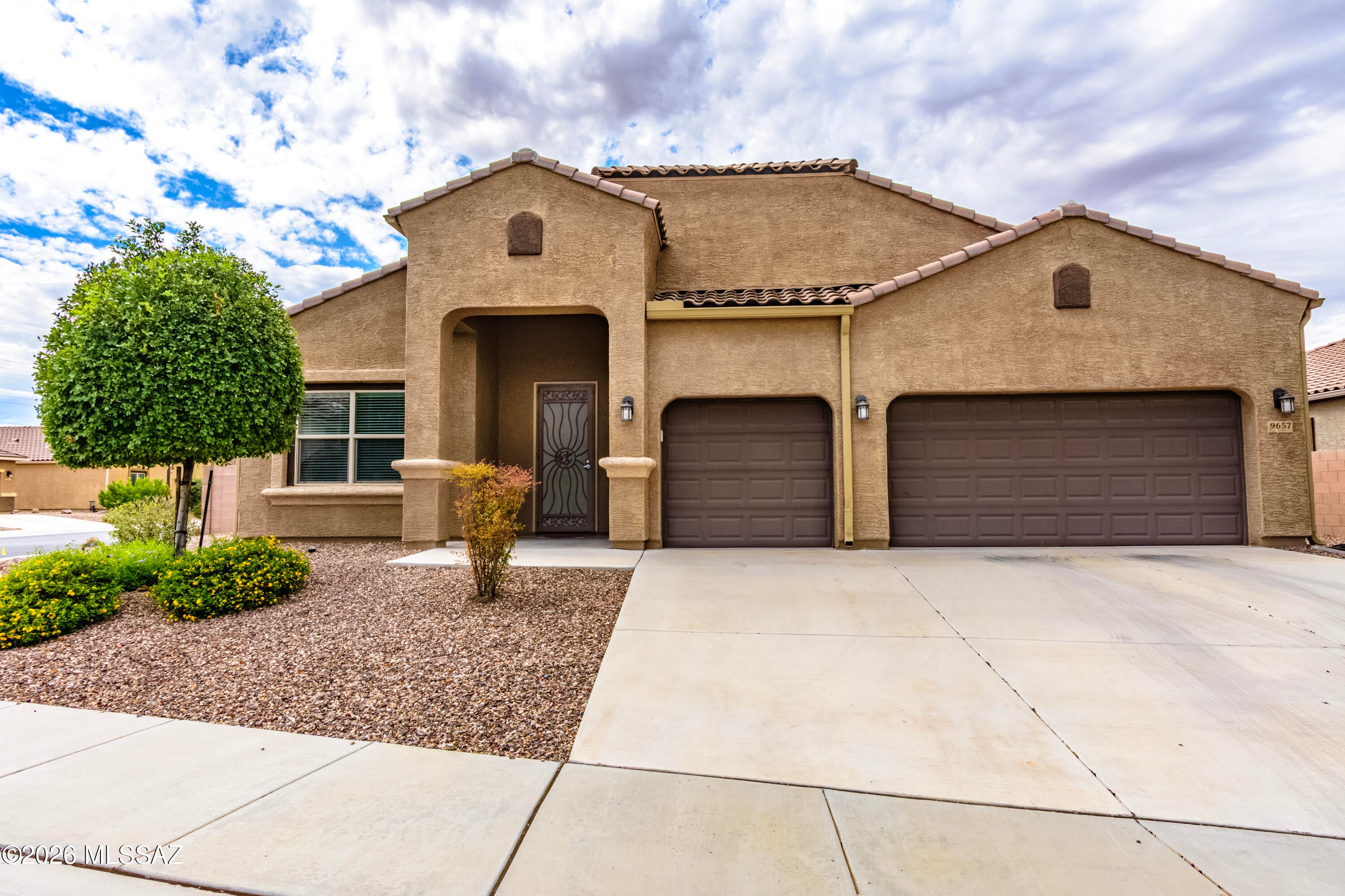 Saguaro Bloom - Residential
