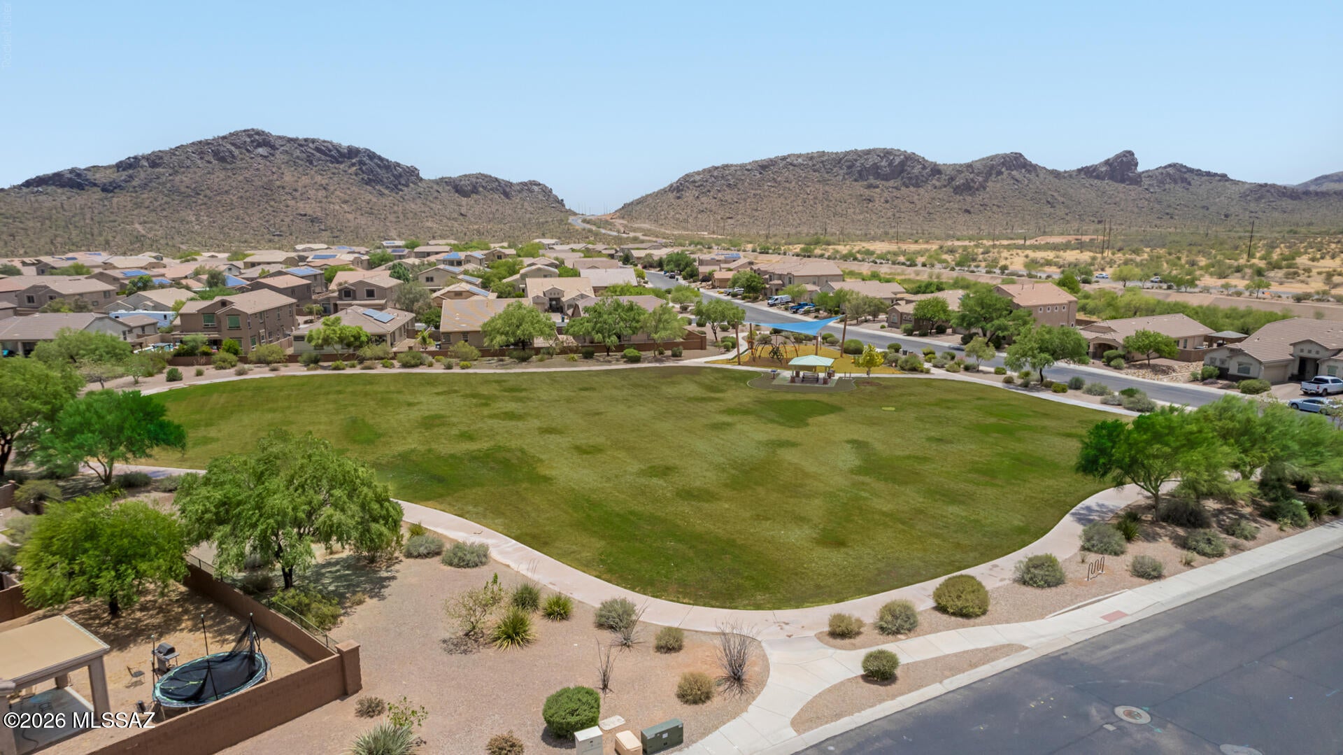 Saguaro Bloom - Residential