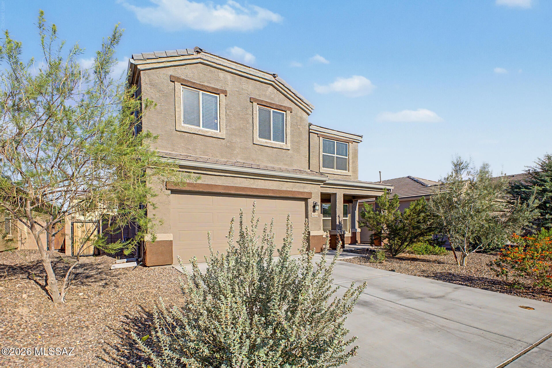 Saguaro Bloom - Residential