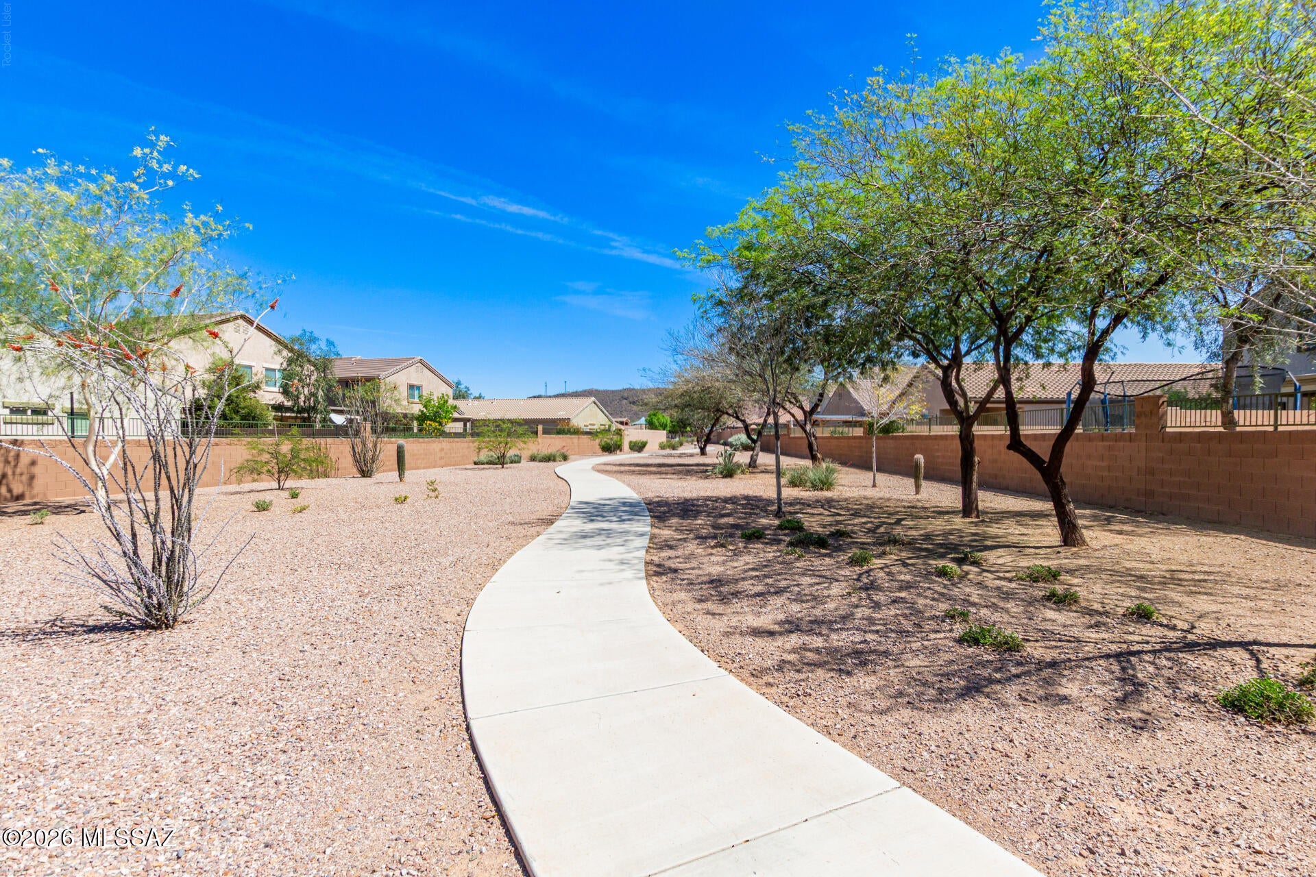 Saguaro Bloom - Residential