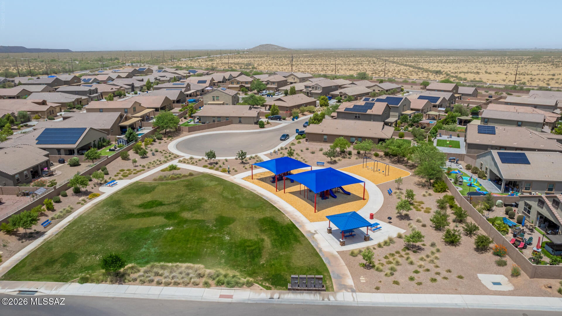 Saguaro Bloom - Residential