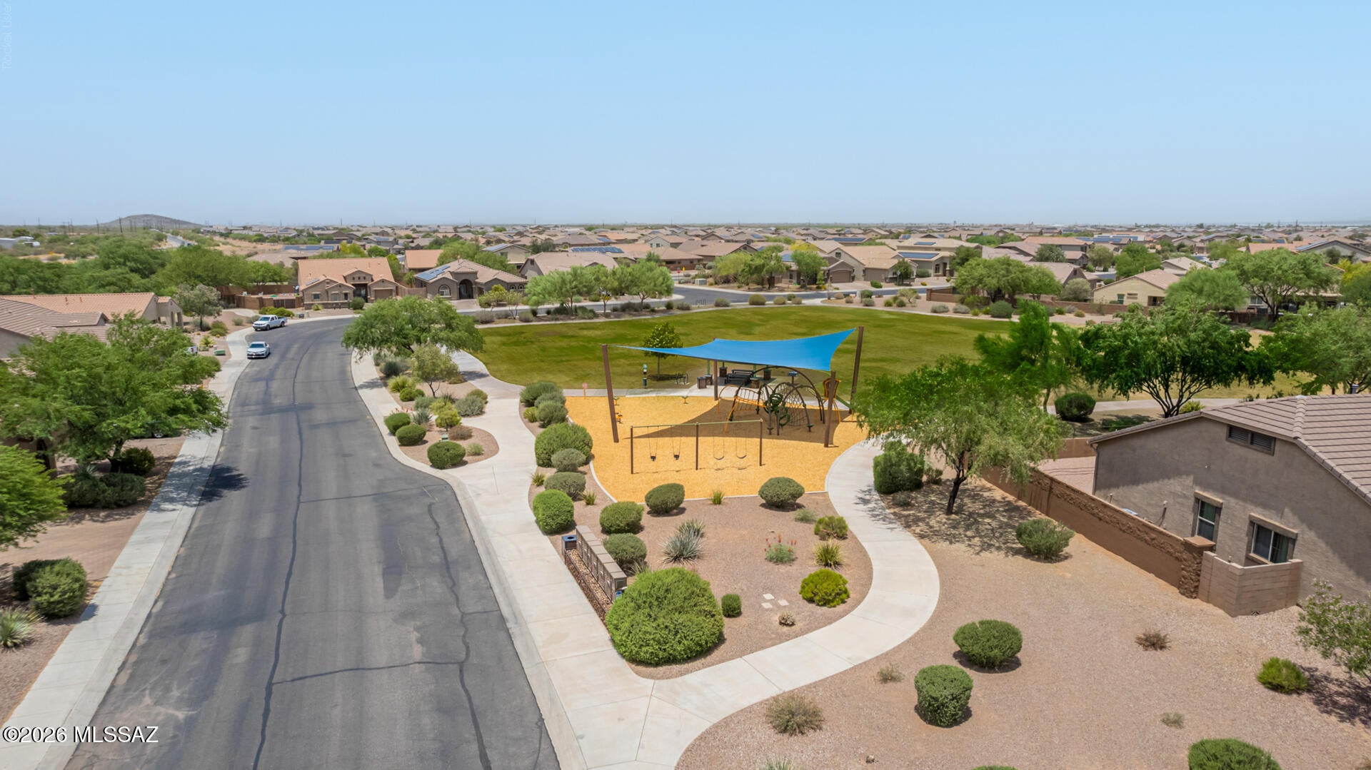 Saguaro Bloom - Residential