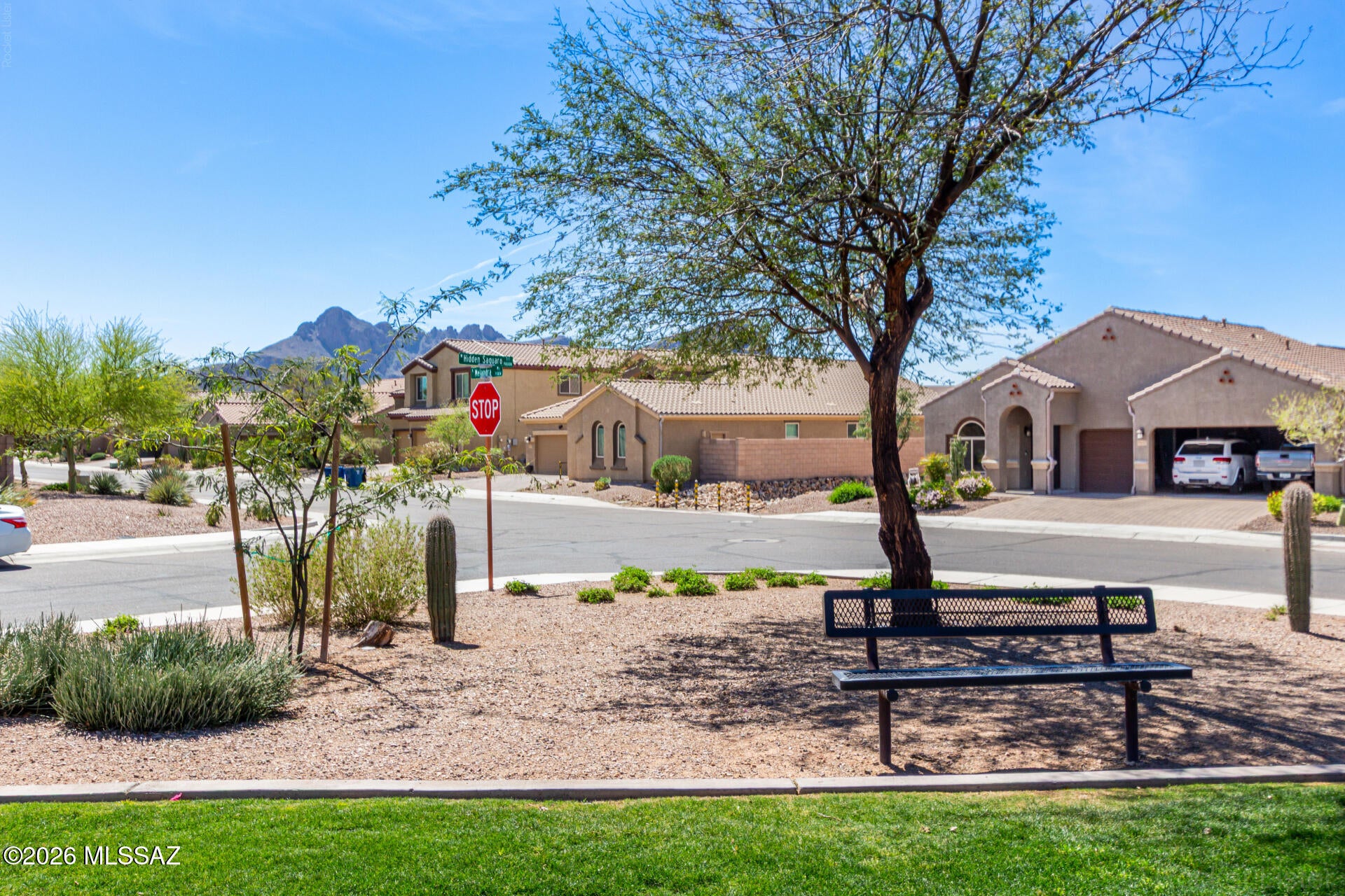 Saguaro Bloom - Residential