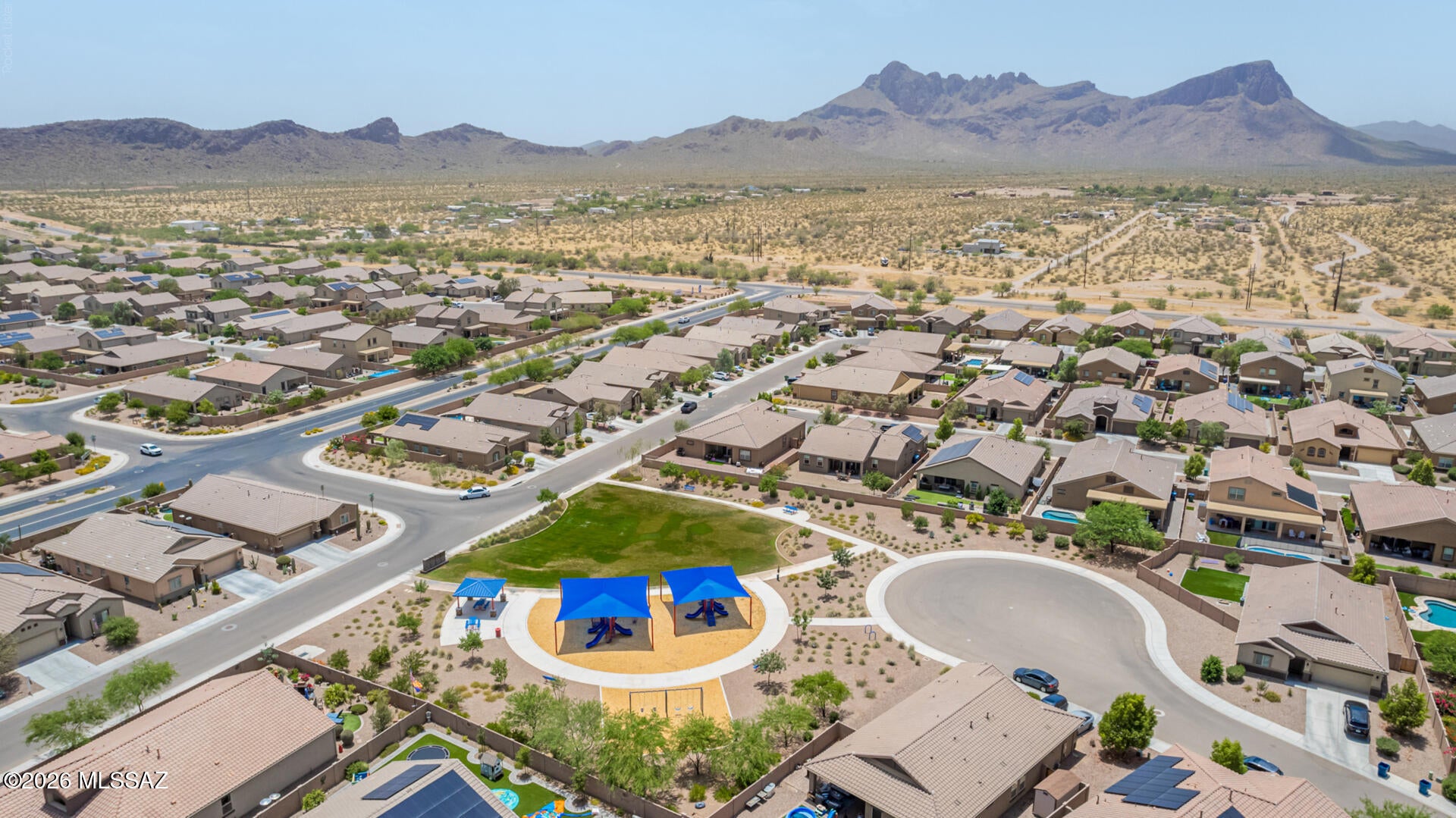 Saguaro Bloom - Residential