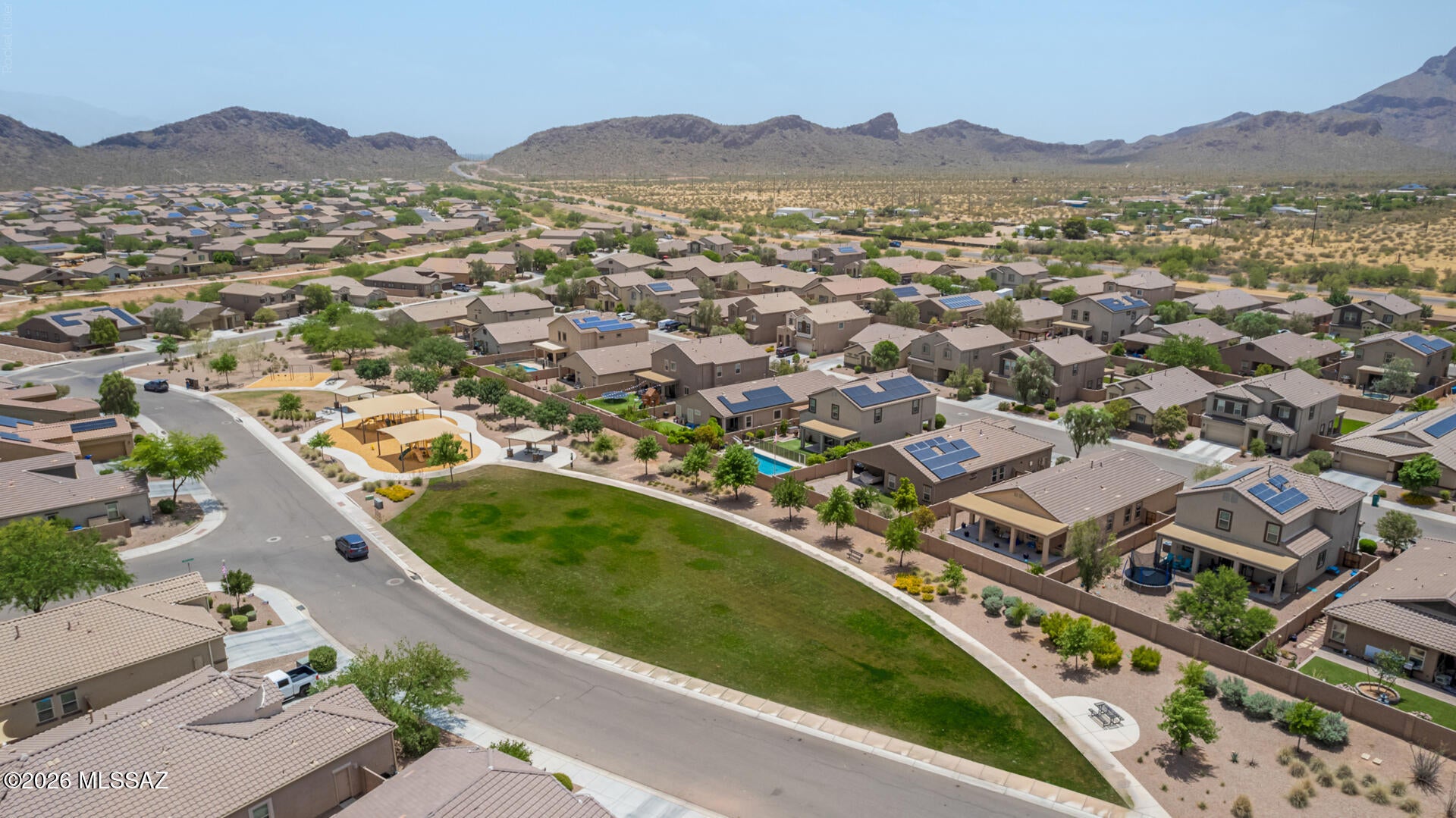 Saguaro Bloom - Residential